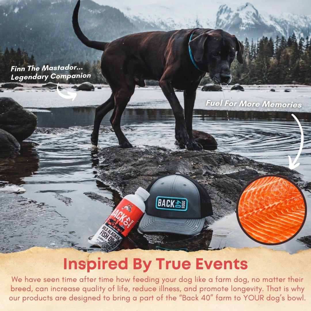 Wild Alaskan Fish Oil for Dogs & Cats, Omega-3 Skin & Coat Supplement, EPA & DHA Salmon Oil for Brain, Heart, Joints - 16 fl oz