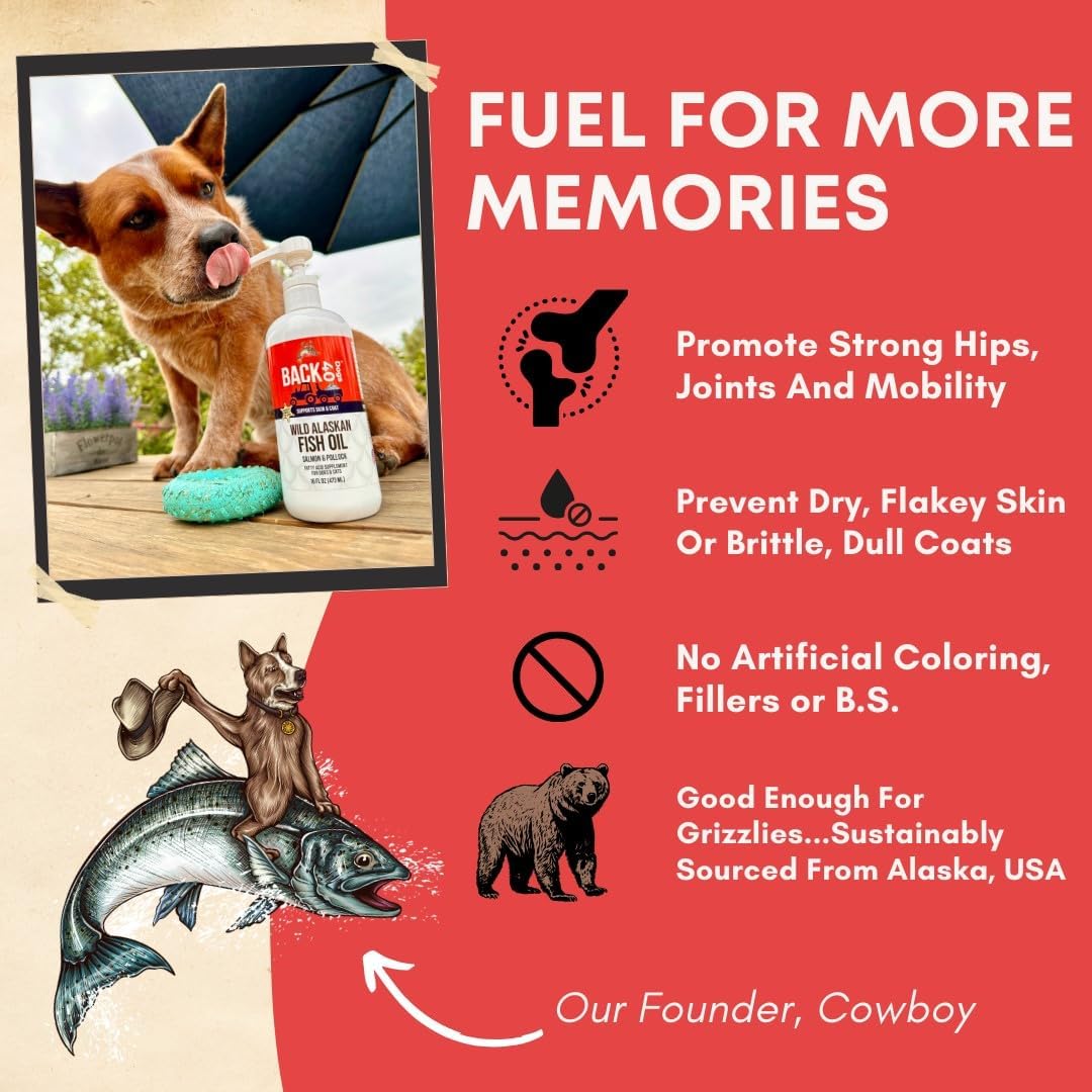Wild Alaskan Fish Oil for Dogs & Cats, Omega-3 Skin & Coat Supplement, EPA & DHA Salmon Oil for Brain, Heart, Joints - 16 fl oz