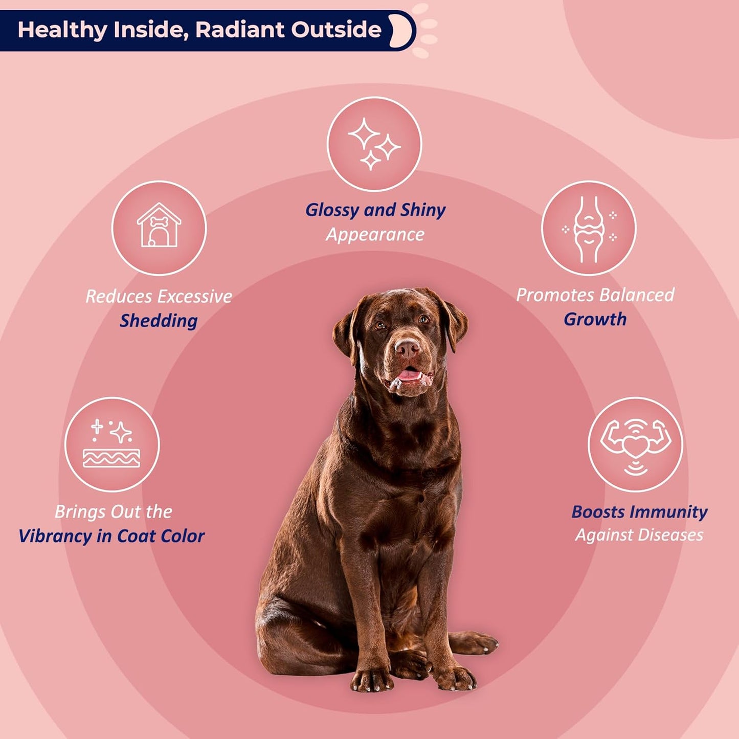 Wild Alaskan Salmon Oil Omega-3 Supplement for Skin & Coat - 128 oz for Dogs & Cats - Supports Brain, Eye & Heart Health