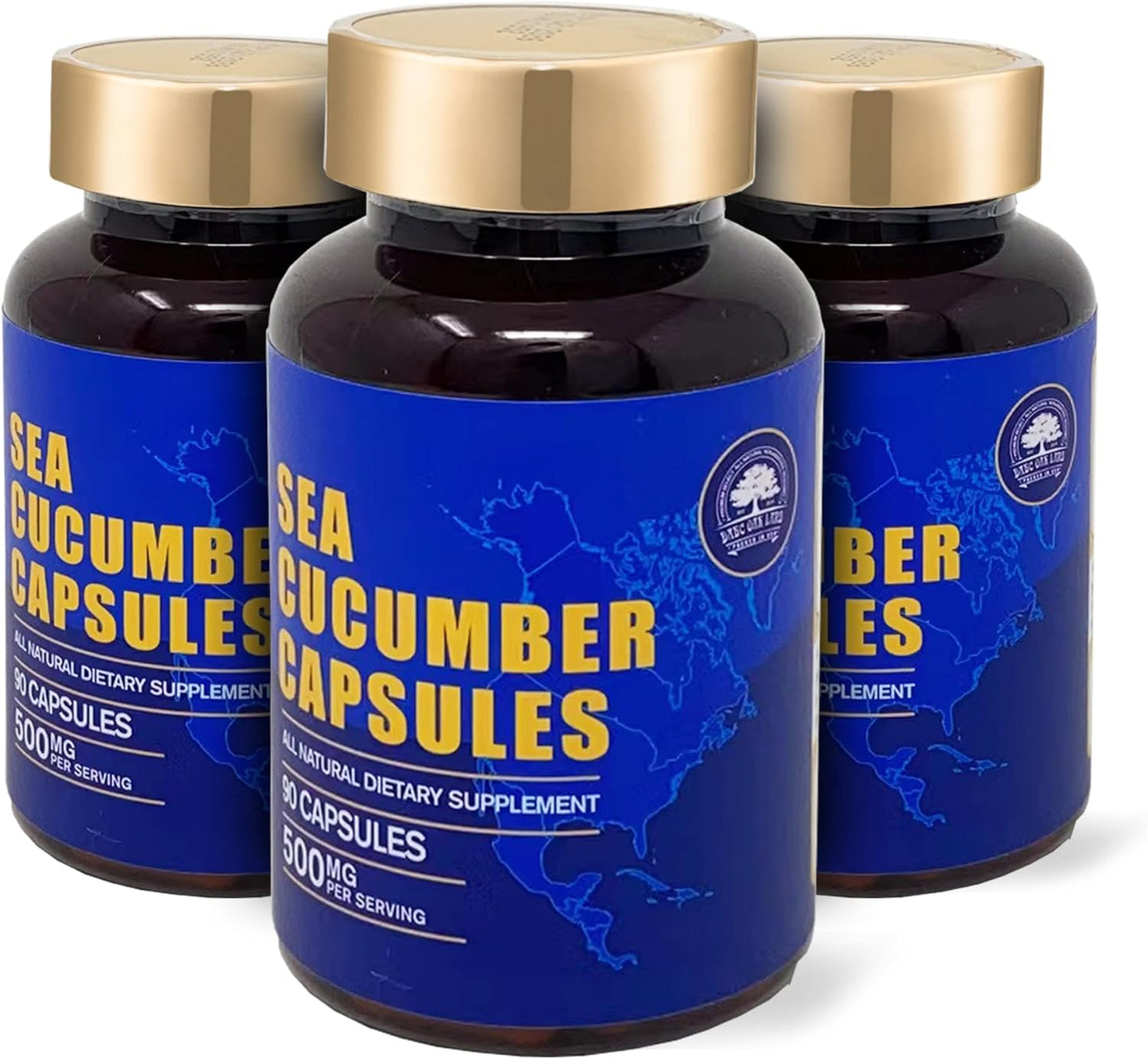 Wild Caught Sea Cucumber Extract Supplement Capsules - Natural Antioxidant & Immune Booster - 90 Capsules (3 Bottles)