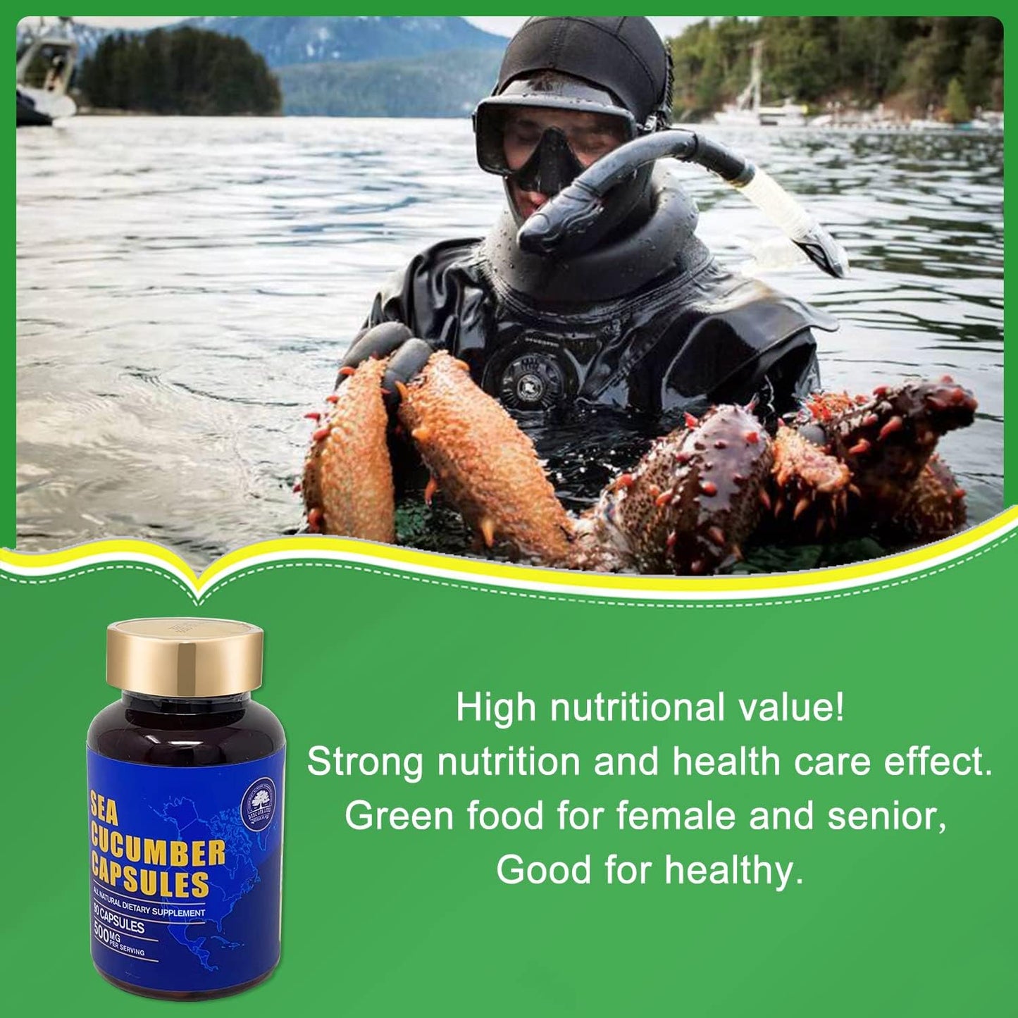 Wild Caught Sea Cucumber Extract Supplement Capsules - Natural Antioxidant & Immune Booster - 90 Capsules (3 Bottles)
