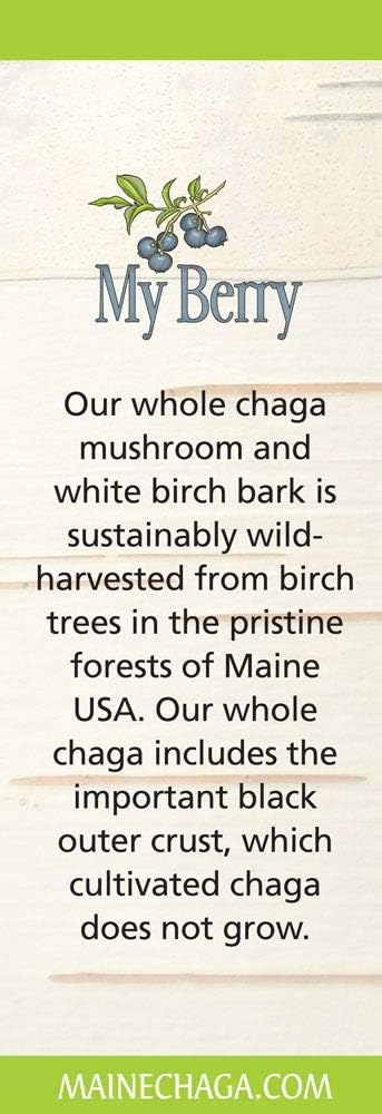 Wild Harvested Berry Chaga Mushroom Extract Liquid, Double Extracted, 2oz, USA & Canadian Grown, Pesticide-Free
