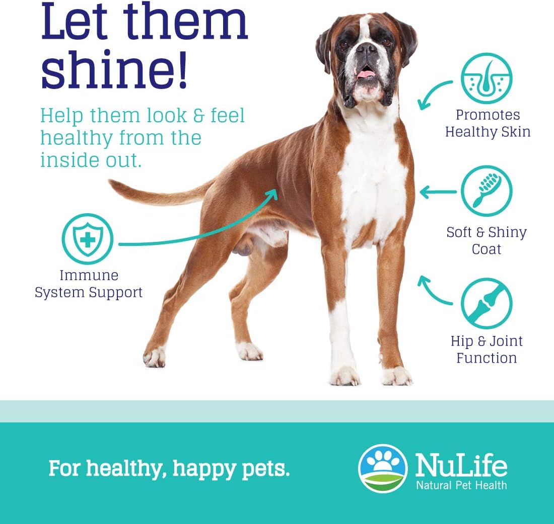 Wild Salmon Omega Skin and Coat Chews for Dogs - Natural Pet Health Treats with Biotin & Vitamin E - Itchy Skin Relief, Allergy Support, Shedding Control - Omega 3 6 9, EPA & DHA Fatty Acids - 120 Chews