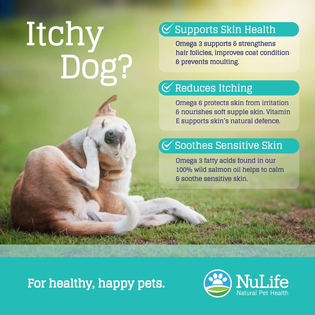 Wild Salmon Omega Skin and Coat Chews for Dogs - Natural Pet Health Treats with Biotin & Vitamin E - Itchy Skin Relief, Allergy Support, Shedding Control - Omega 3 6 9, EPA & DHA Fatty Acids - 120 Chews