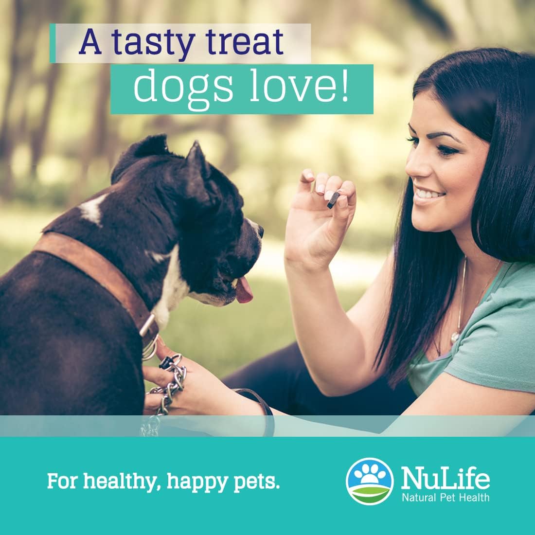 Wild Salmon Omega Skin and Coat Chews for Dogs - Natural Pet Health Treats with Biotin & Vitamin E - Itchy Skin Relief, Allergy Support, Shedding Control - Omega 3 6 9, EPA & DHA Fatty Acids - 120 Chews