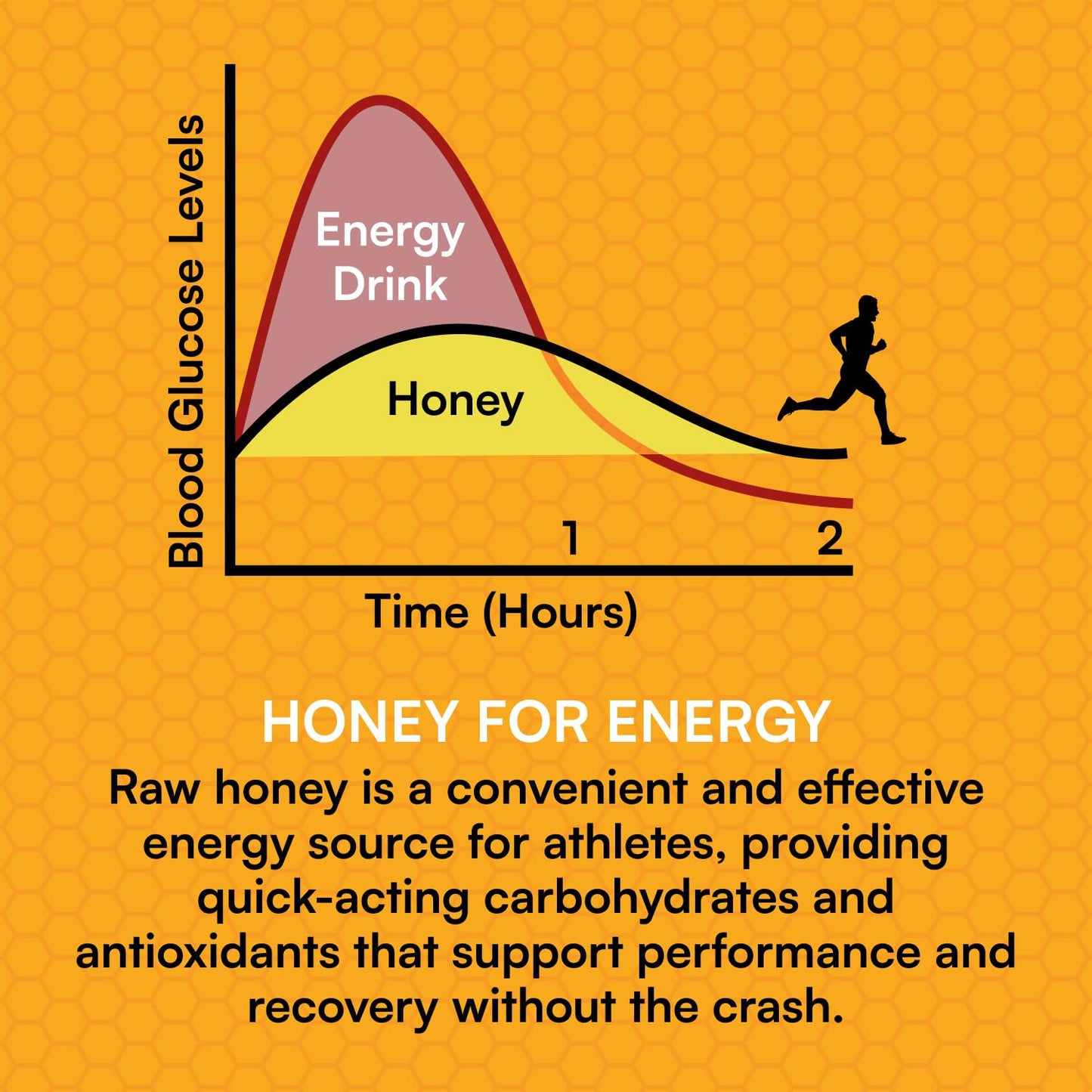 Wild Spiced Super Honey Gel Packs for Endurance Athletes | Paleo & Carnivore Friendly Energy Snack | Gluten-Free | Made in USA | 8 Pack