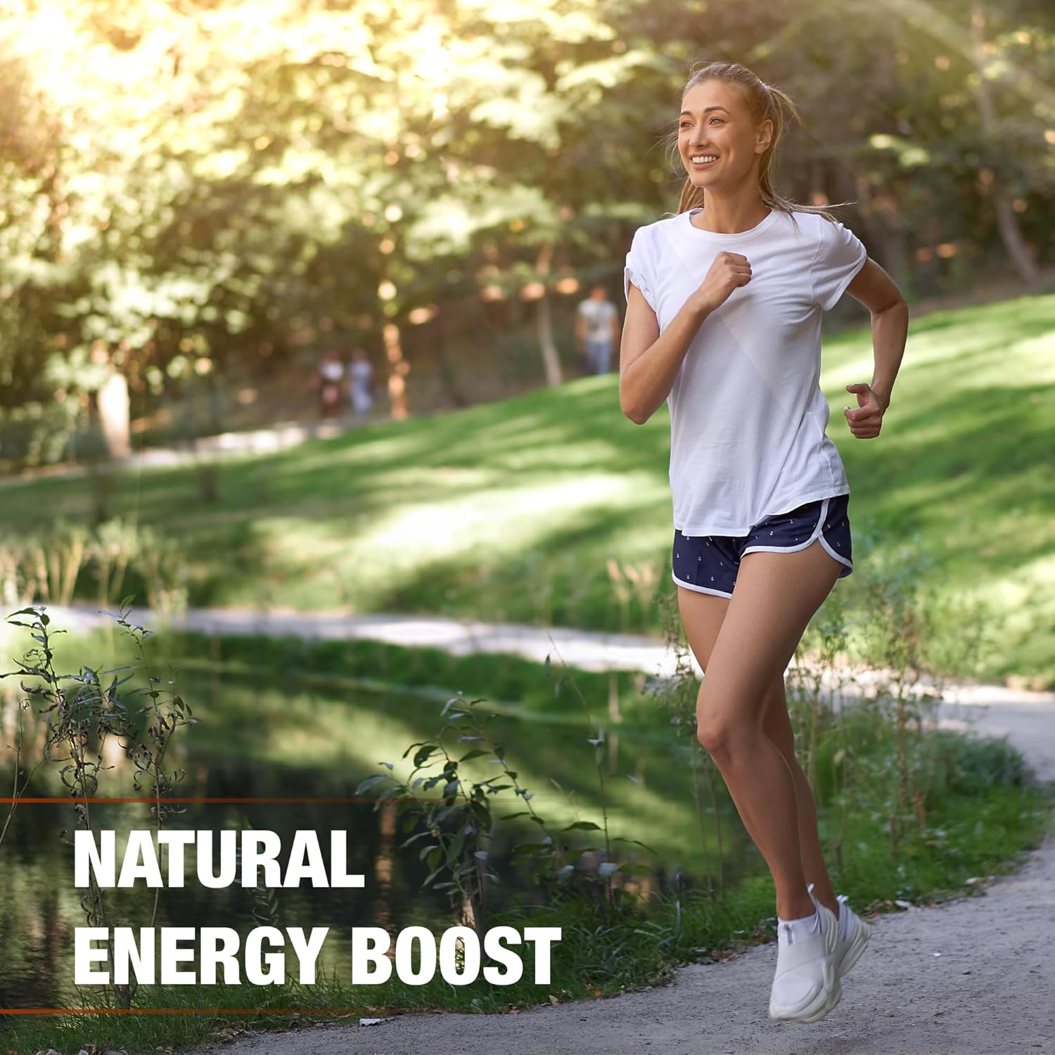 Wildcrafted Irish Sea Moss Gel 16 fl oz - Vegan Superfood for Immune Support - Made in USA with Vitamins and Trace Minerals - Mango Flavor