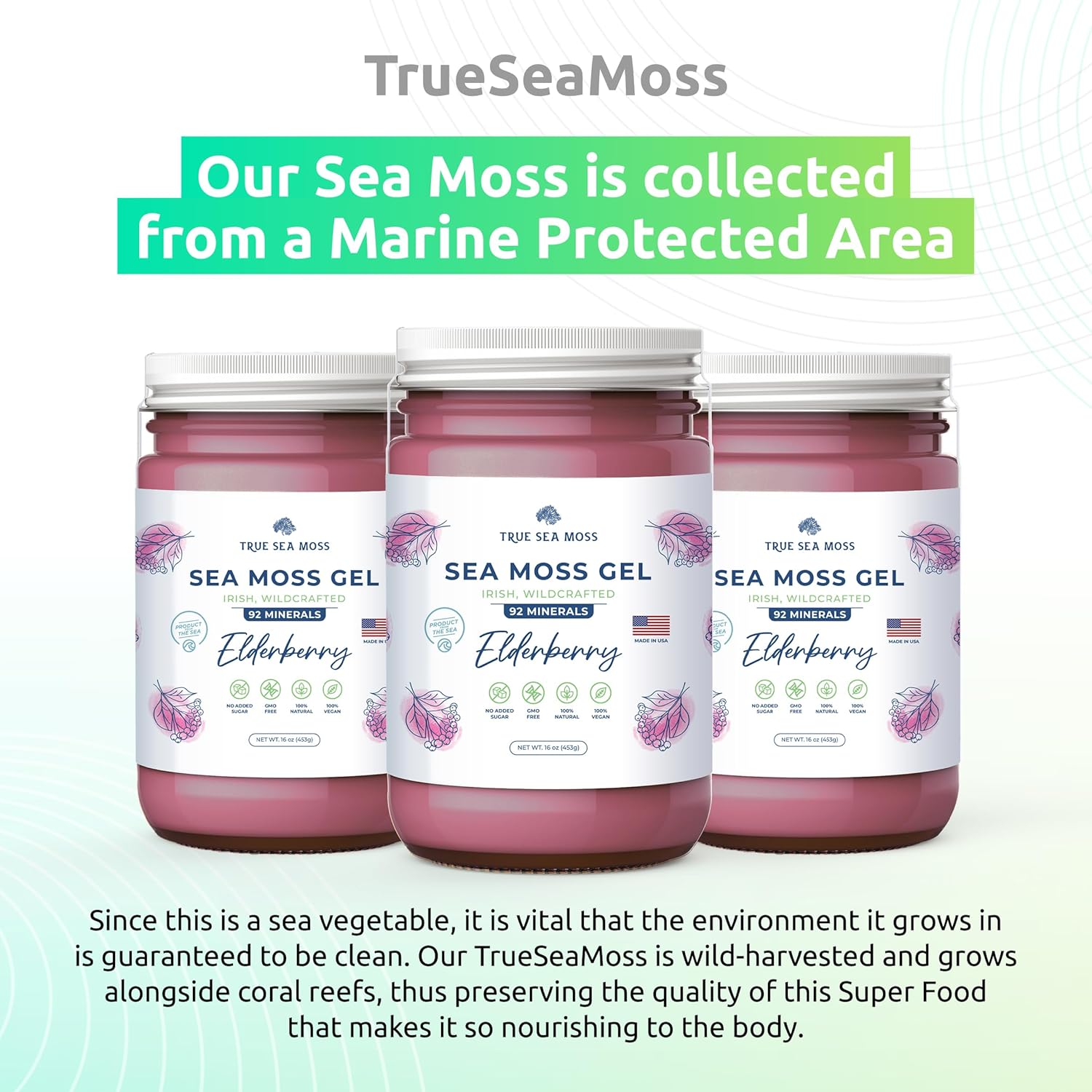 Wildcrafted Irish Sea Moss Gel Bundle with Elderberry and Pineapple - Made from Dried Seaweed - Pack of 2