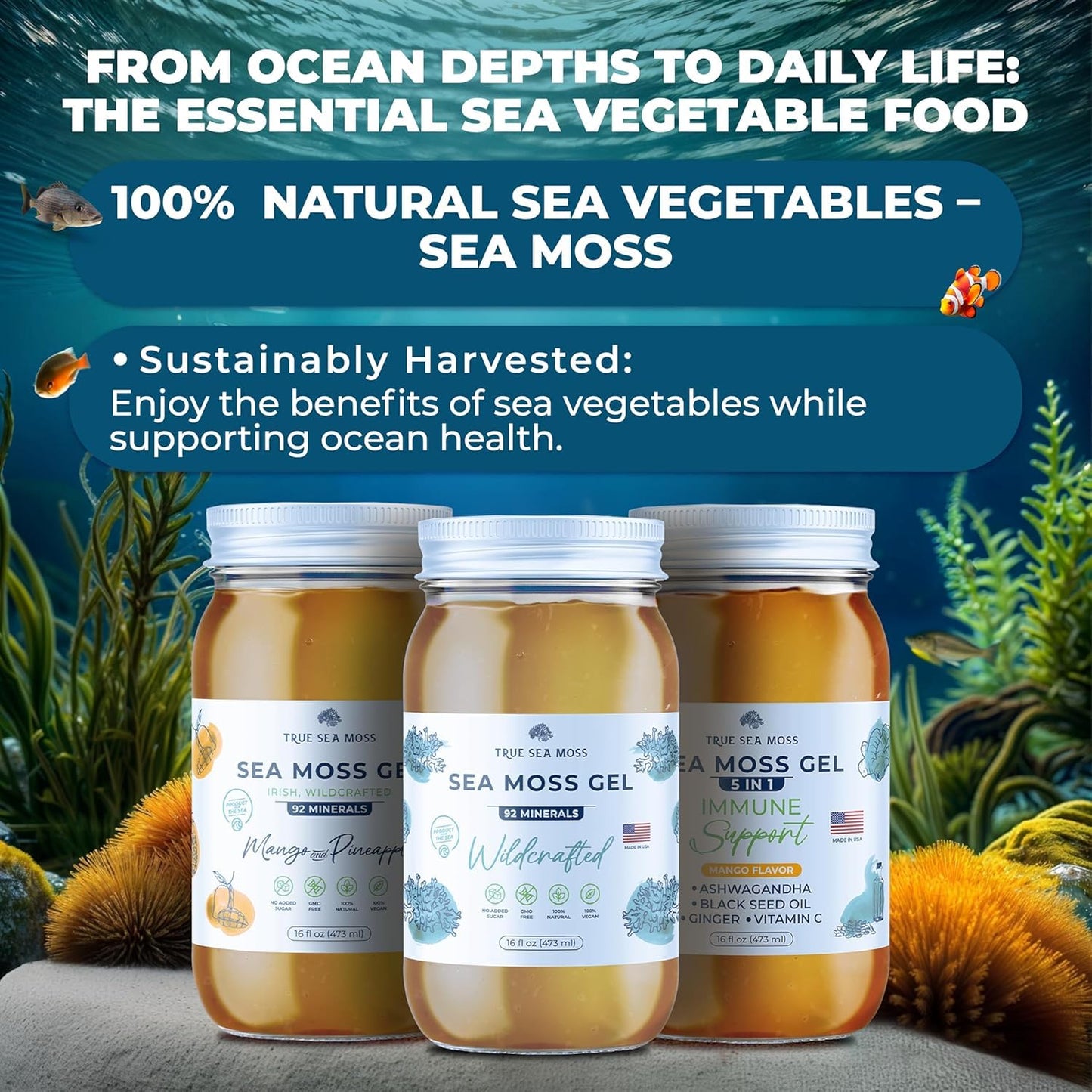 Wildcrafted Irish Sea Moss Gel with Dried Seaweed & Fresh Sea Vegetables - Mango Flavor - 16 oz - Supports Health & Digestion - Made in USA