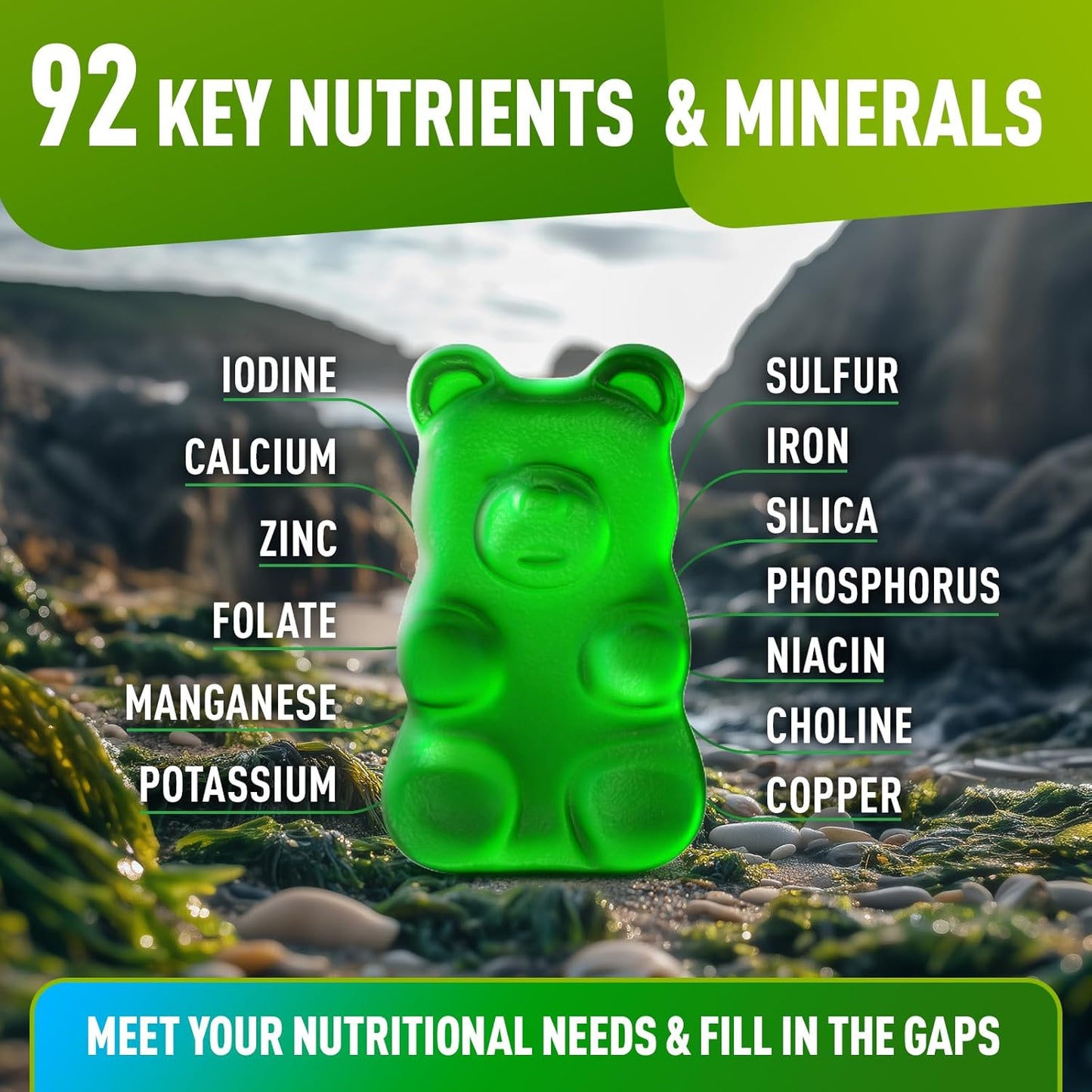 Wildcrafted Irish Sea Moss Gummies with Bladderwrack & Burdock Root Extract - 60 Vegan Sea Moss Gel Gummies for Adults & Kids