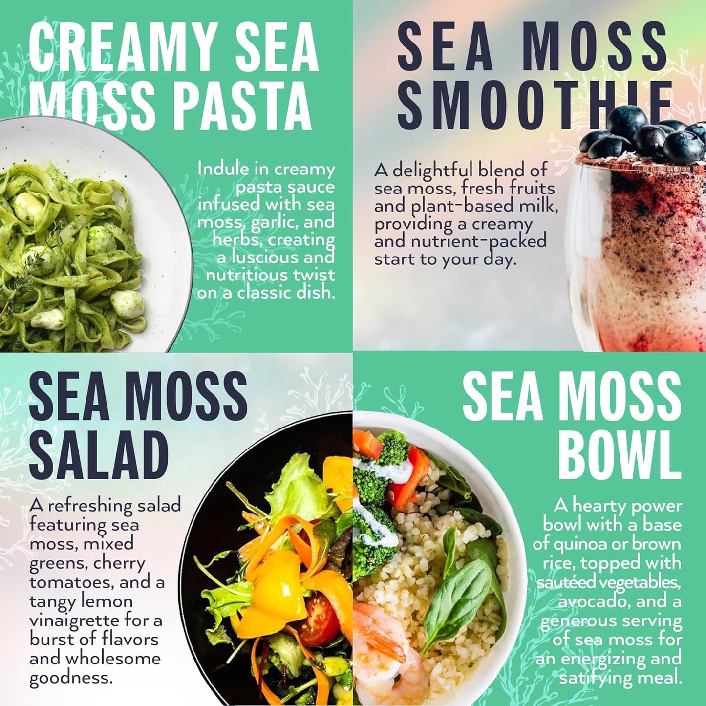 Wildcrafted Irish Seamoss Gel with Vitamins and Trace Minerals for Immune Support - 16 Fl Oz - Propolis-Apple-Cinnamon Flavor - Vegan Superfood from USA