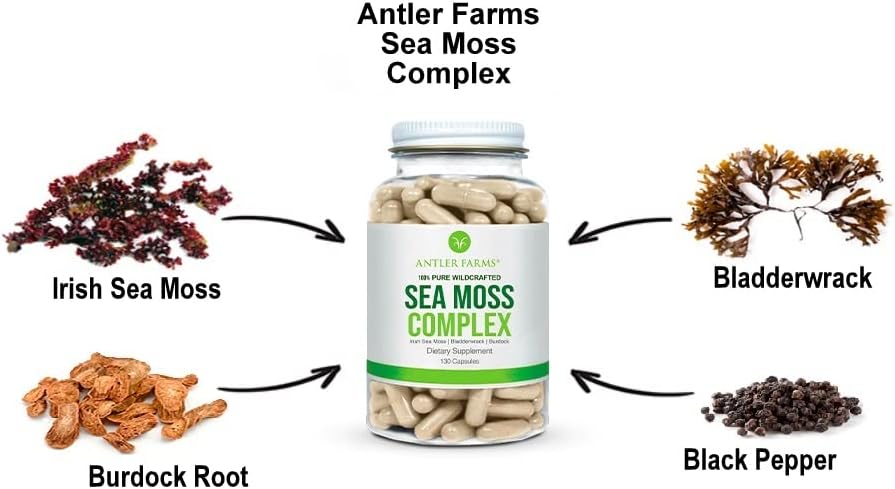 Wildcrafted Sea Moss & Black Seed Oil Bundle - 100% Pure Irish Moss & Turkish Nigella Sativa Seed Oil from Antler Farms