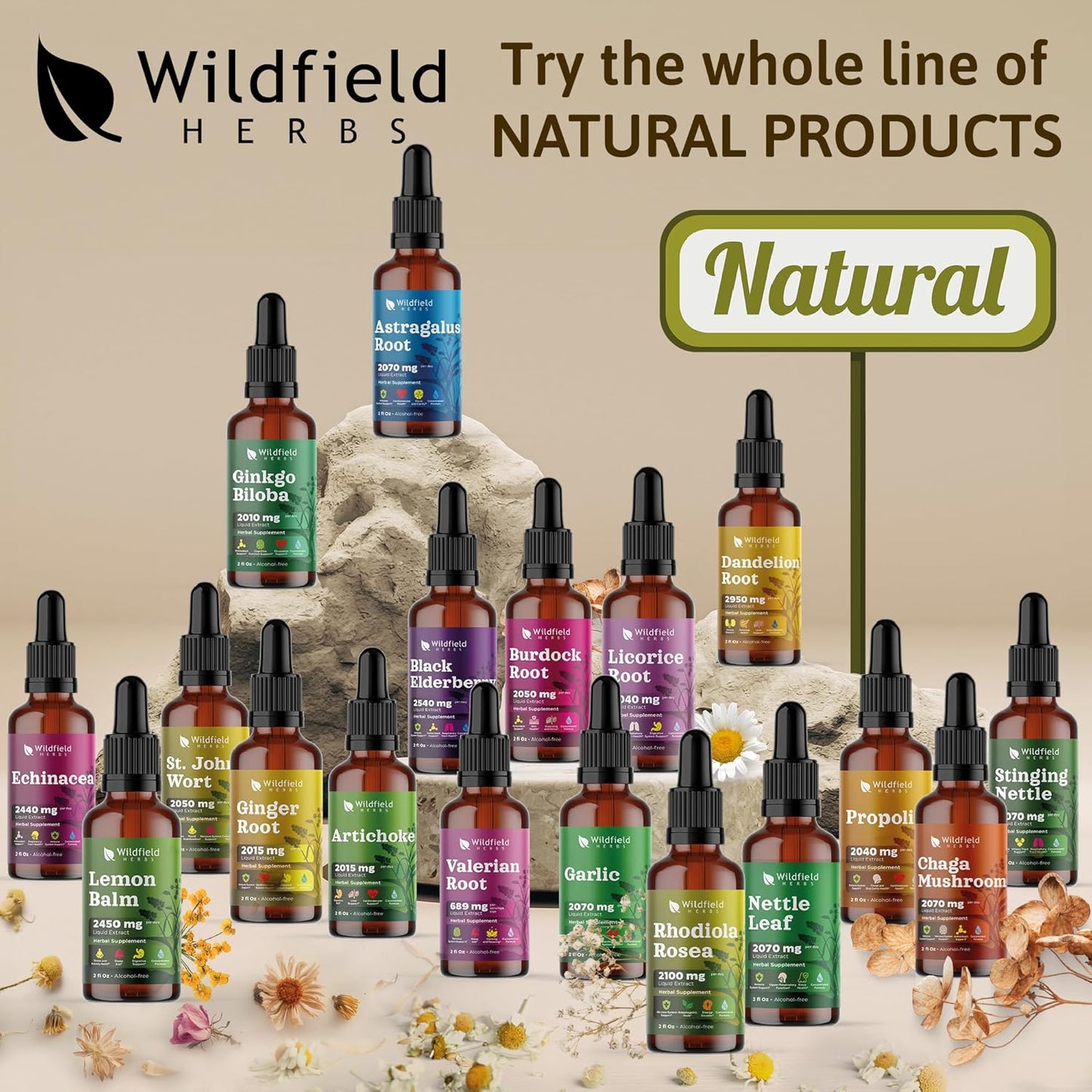 Wildfield Herbs Propolis Extract Drops - 2040mg Liquid Tincture Herbal Supplement, 1 Month Supply, Alcohol-Free - 2 Oz