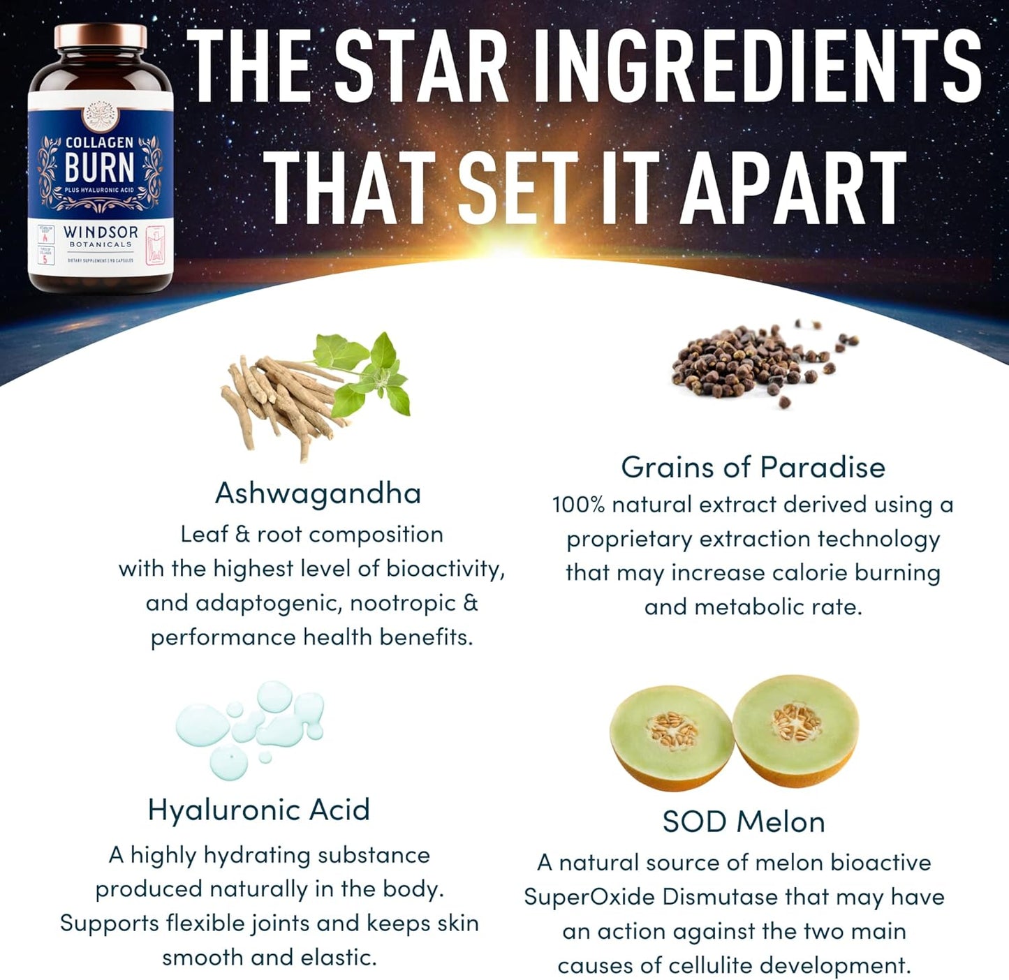 WINDSOR BOTANICALS Collagen Burn Capsules with Hyaluronic Acid - Thermogenic Formula for Women and Men - 90 Pills