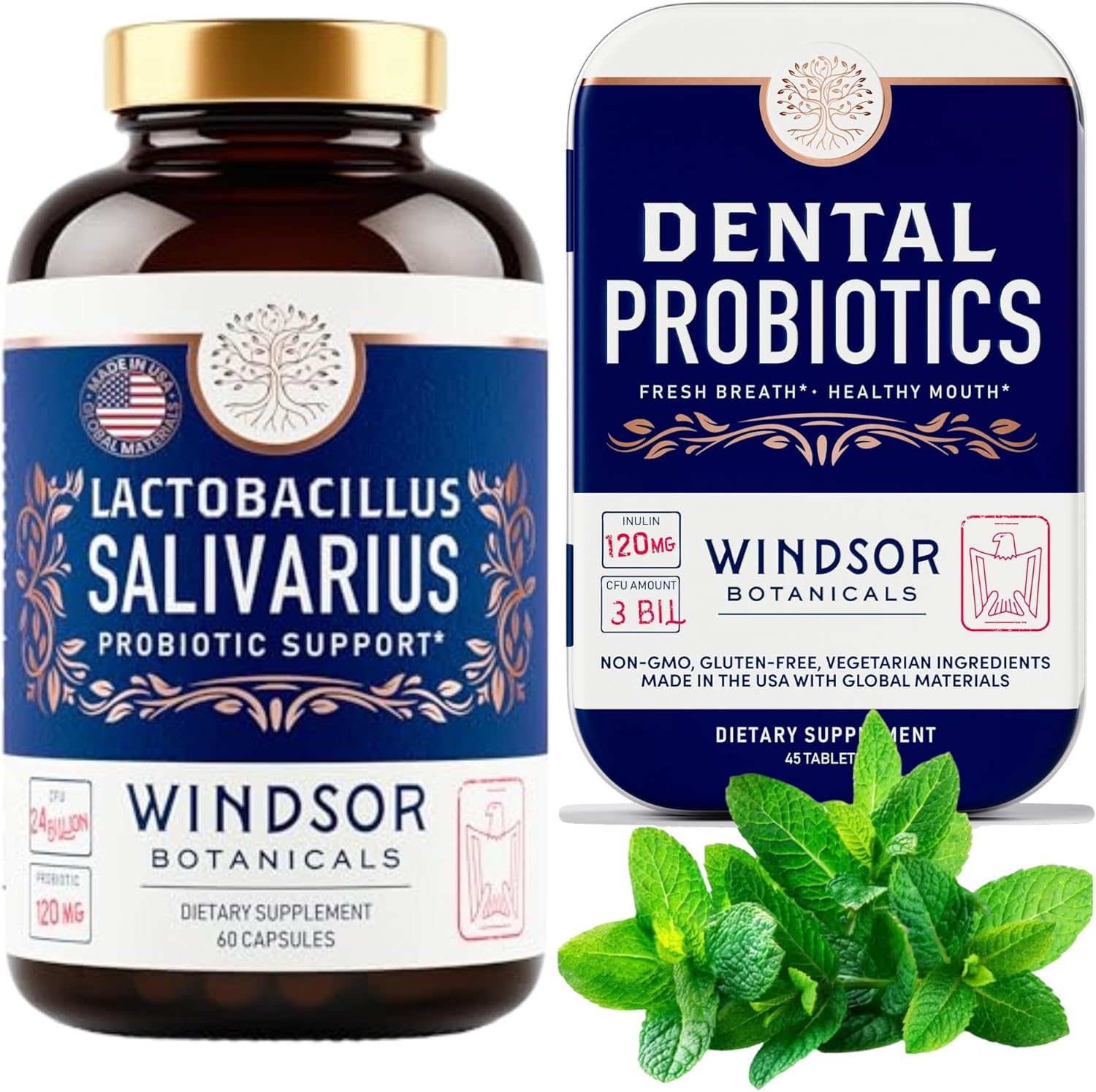 WINDSOR BOTANICALS Lactobacillus Salivarius Probiotic and Dental Health Bundle for Oral Care
