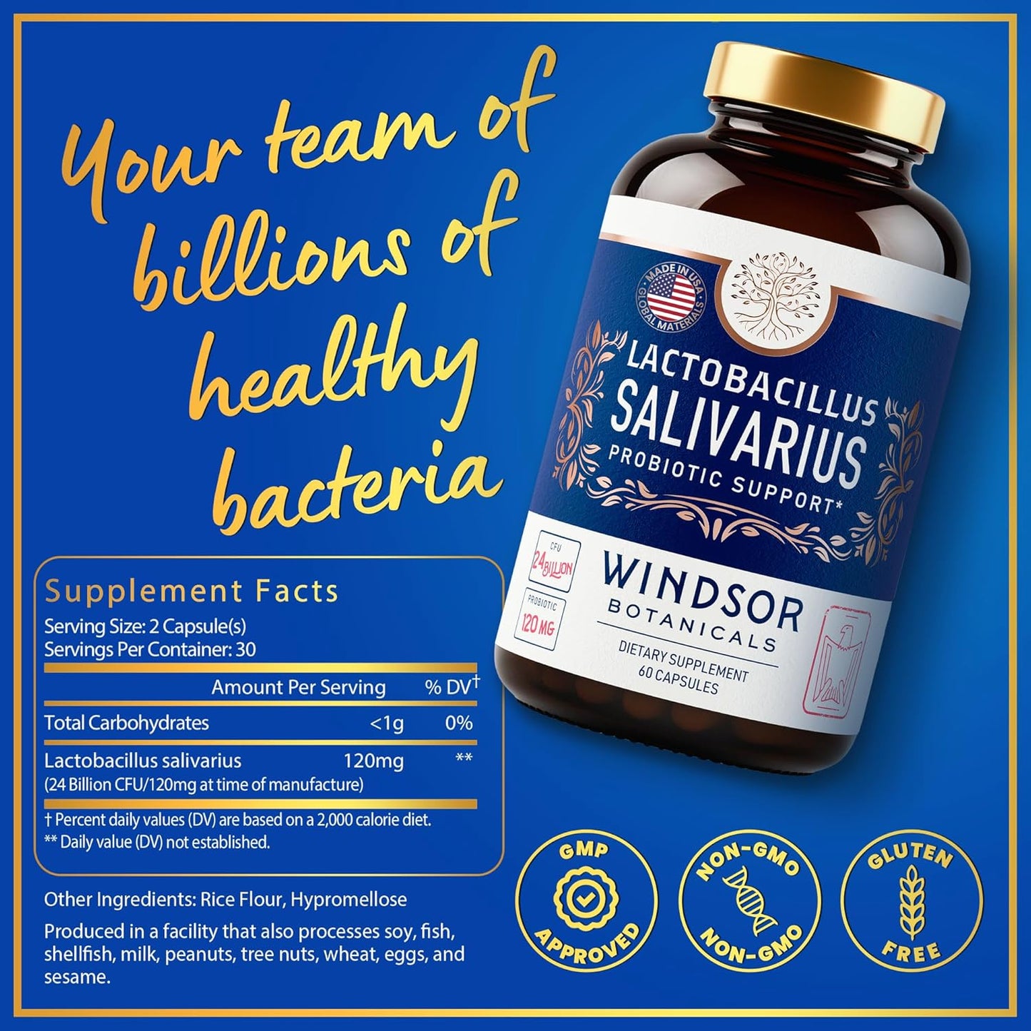 WINDSOR BOTANICALS Lactobacillus Salivarius Probiotic and Dental Health Bundle for Oral Care
