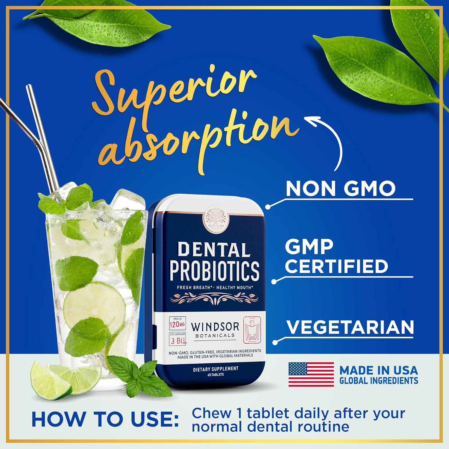 WINDSOR BOTANICALS Lactobacillus Salivarius Probiotic and Dental Health Bundle for Oral Care