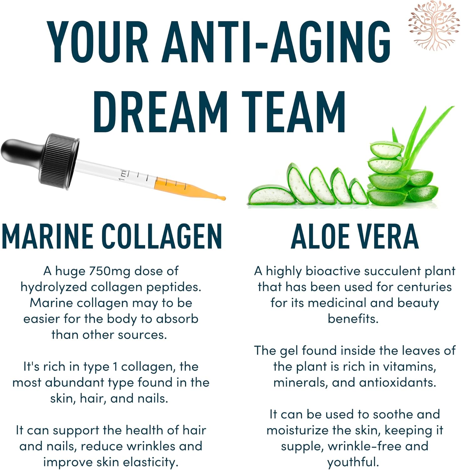 WINDSOR BOTANICALS Liquid Collagen Marine Beauty and Appetite Suppressant Diet Bundle