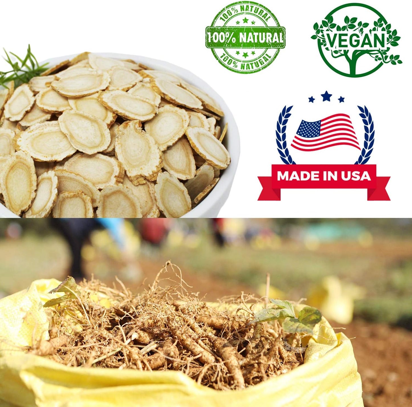 Wisconsin Grown American Ginseng Slices for Ginseng Tea, Large Round Ginseng Root, 4oz Box