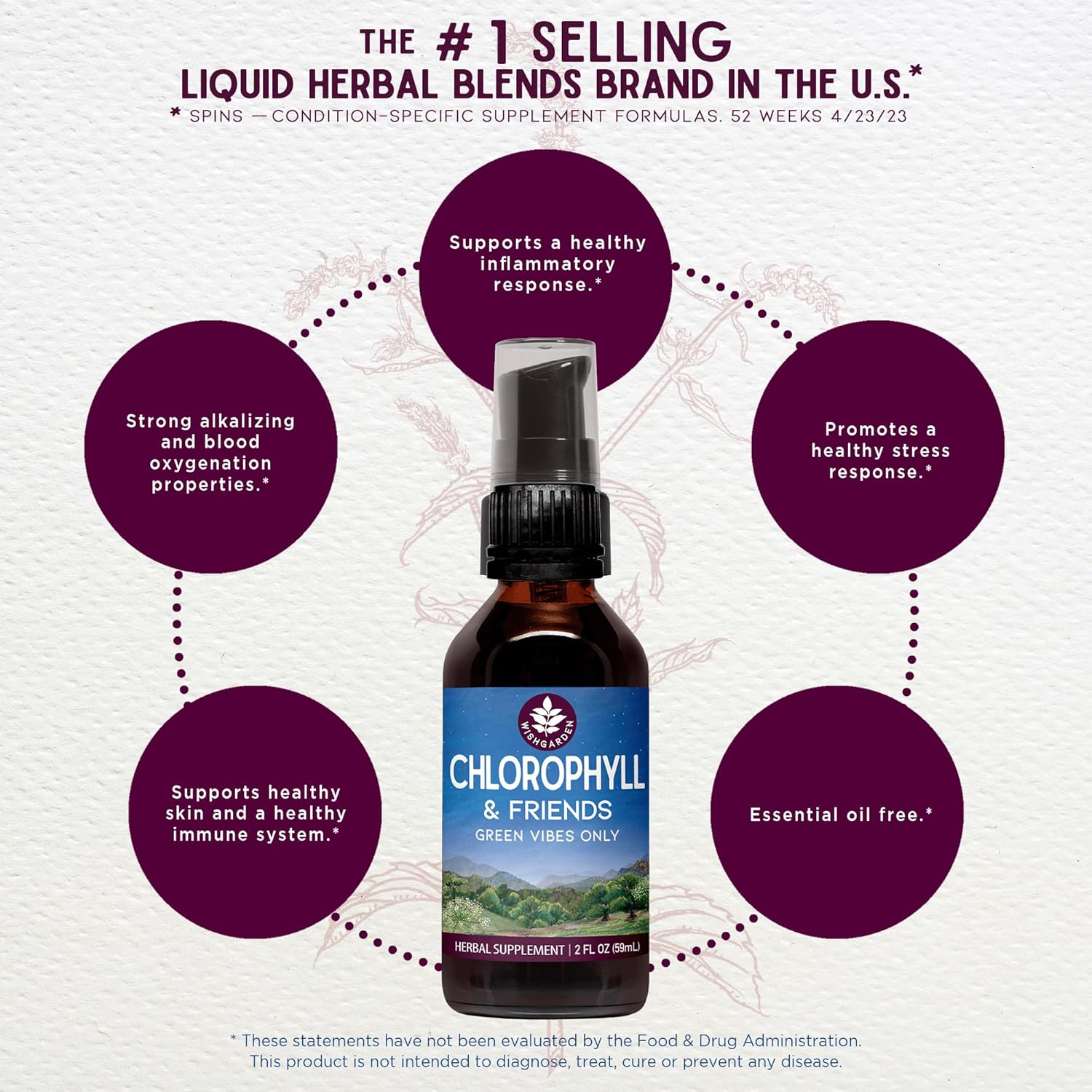 WishGarden Herbs Chlorophyll Liquid Drops with Nettle, Basil, Moringa, & Peppermint for Energy, Immune Support, Stress Relief