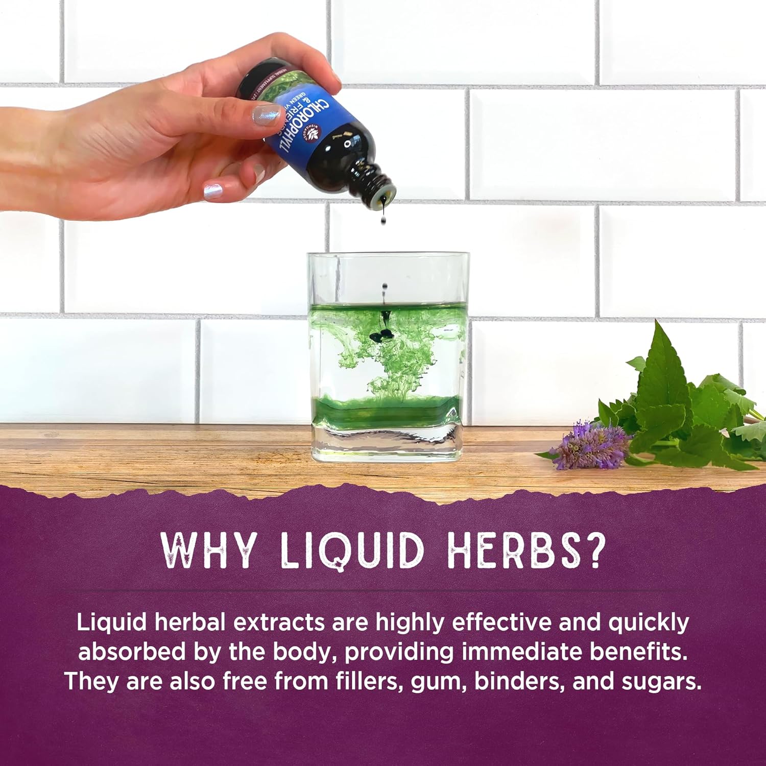 WishGarden Herbs Chlorophyll Liquid Drops with Nettle, Basil, Moringa, & Peppermint for Energy, Immune Support, Stress Relief