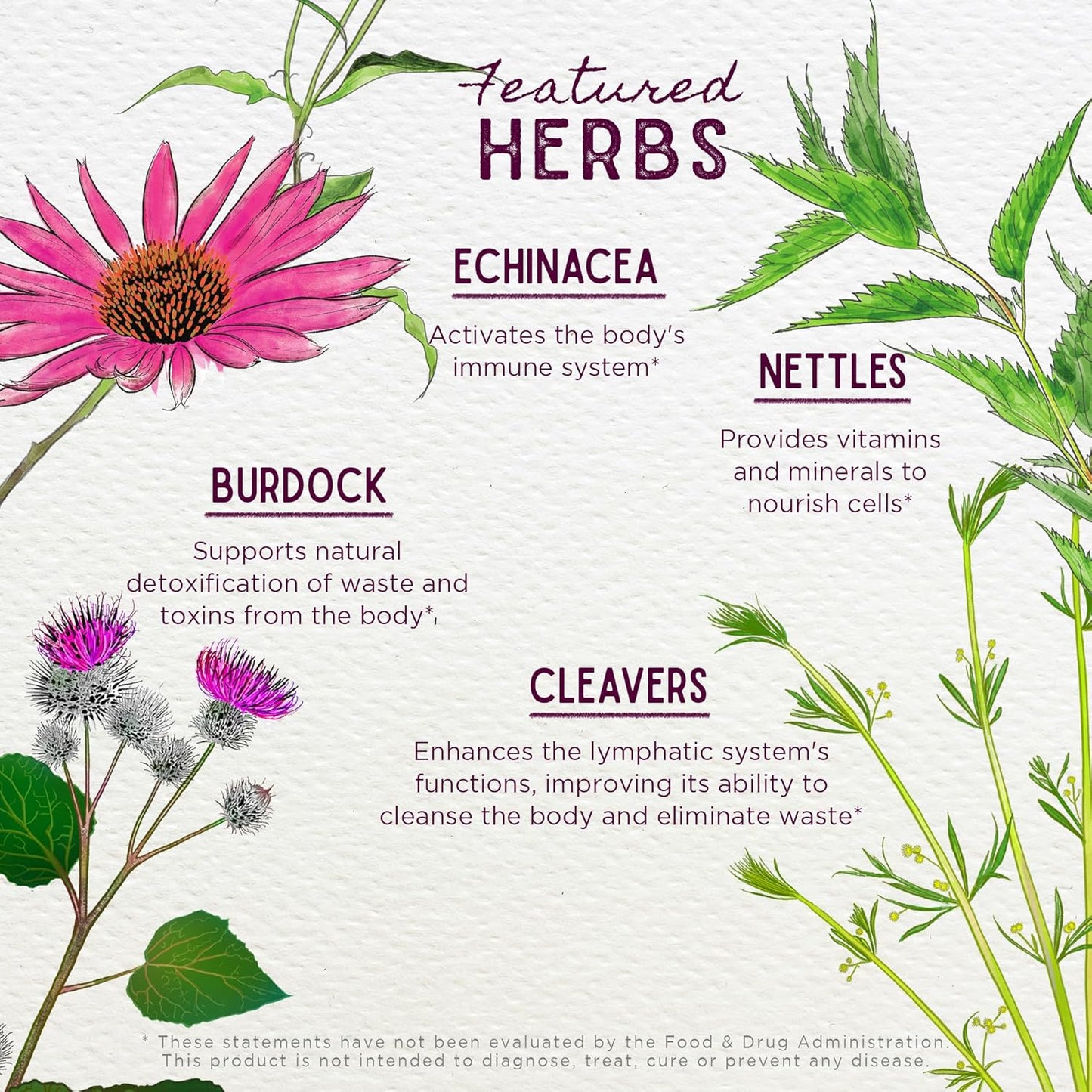 WishGarden Herbs Daily Immune Builder: Herbal Defense & Booster with Elderberry & Astragalus, 2oz