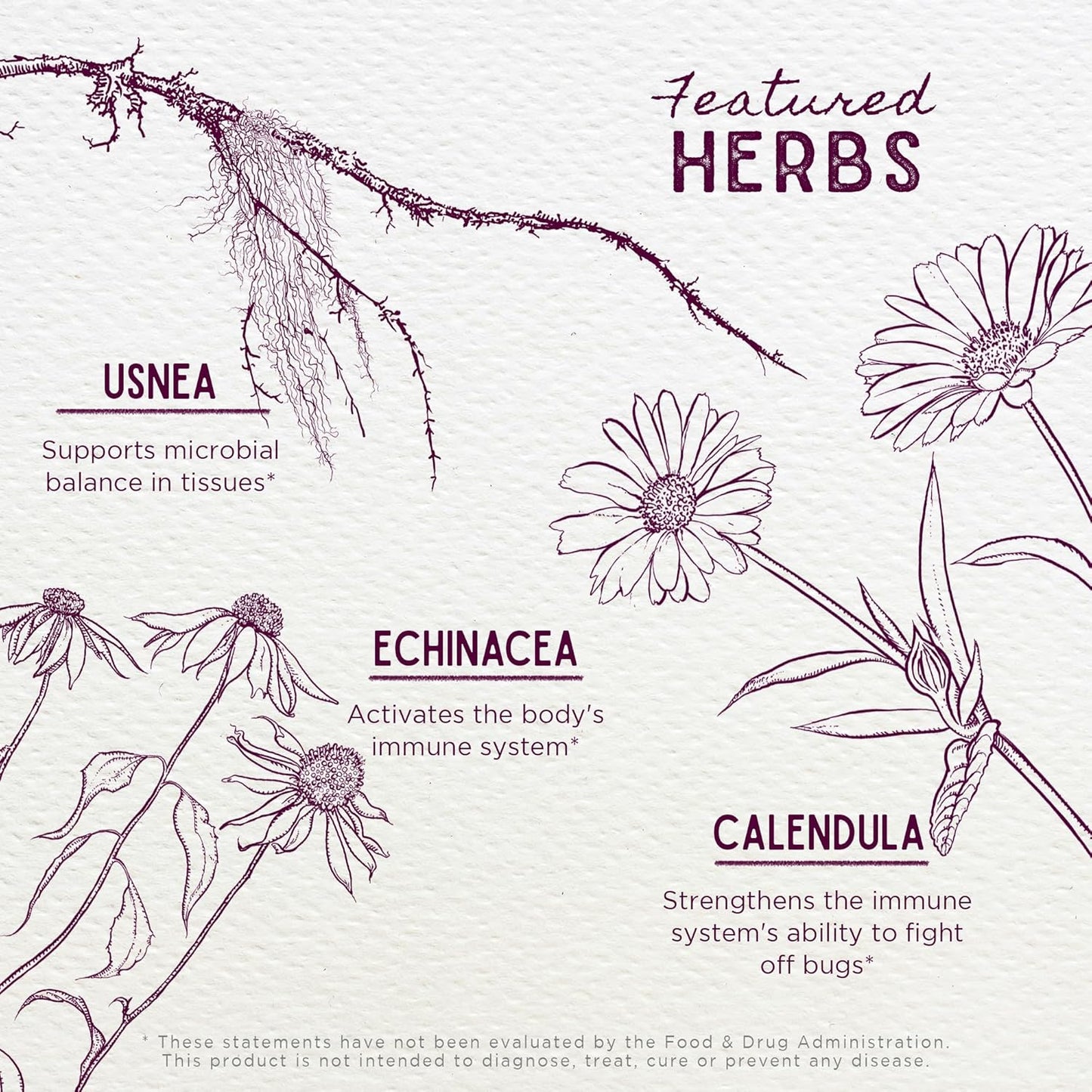 WishGarden Herbs Kick-It Biotic Immune Hero for Kids - Herbal Formula with Usnea Lichen & Echinacea, 2oz