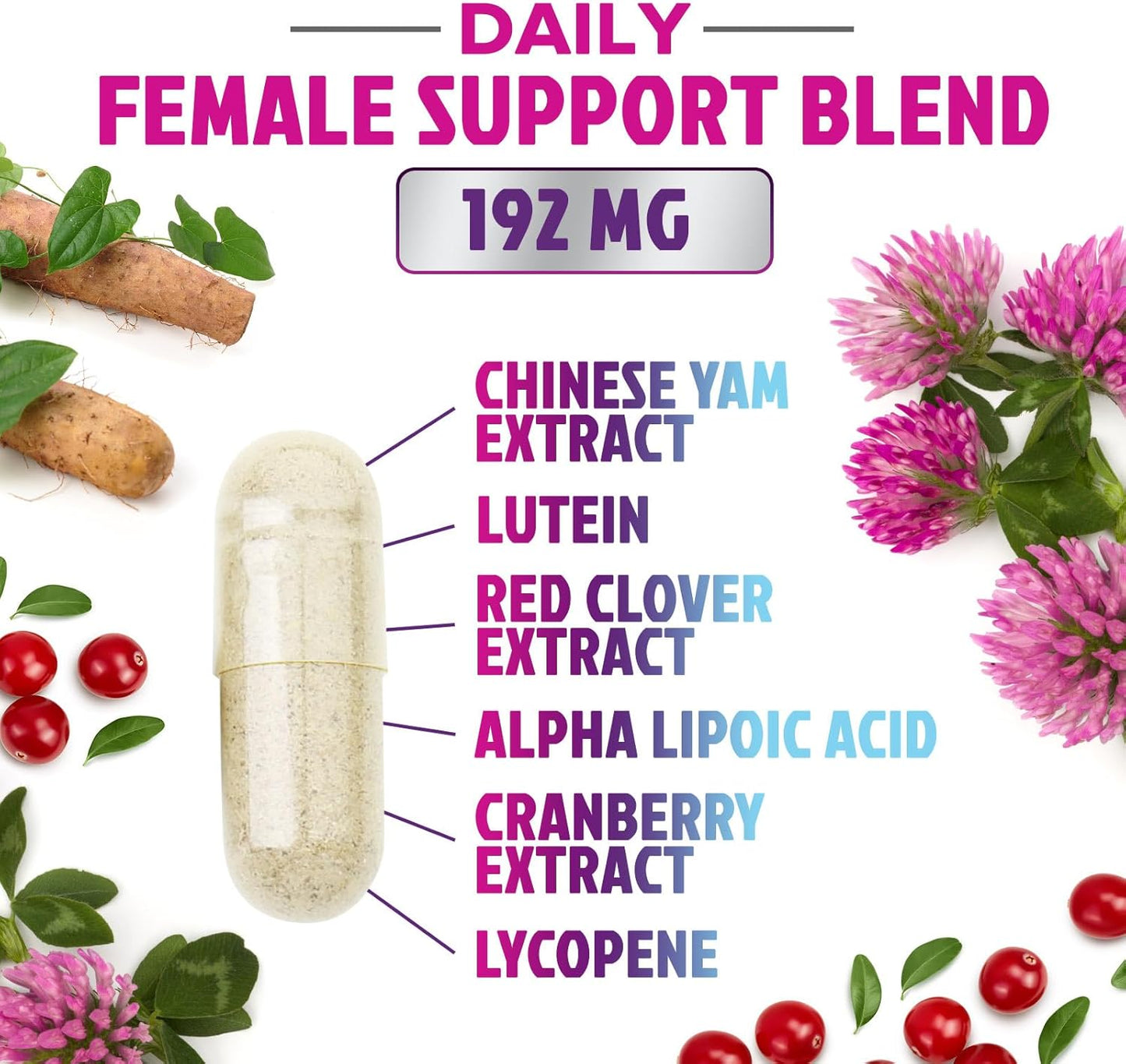 Women's Daily Multivitamin with Vitamins A, C, D, E, B6, B12, Zinc, Calcium, Magnesium - Energy & Immune Support - Non-GMO, Gluten Free - 60 Capsules