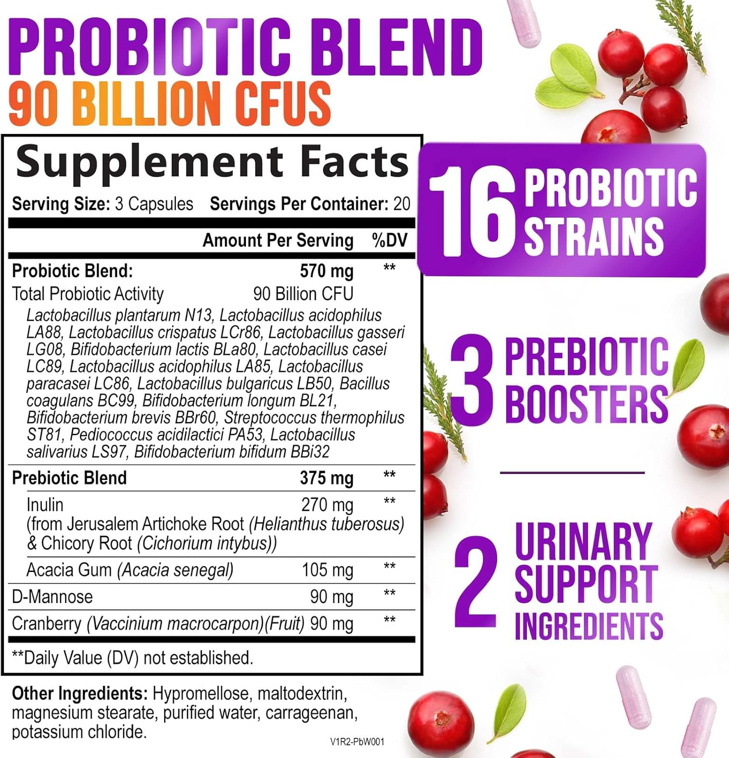 Women's Daily Probiotic Supplement - 90 Billion CFU Vaginal Probiotics with Prebiotics, 16 Strains, Cranberry Extract - Digestive, UT, & Feminine Health Support - 60 Capsules