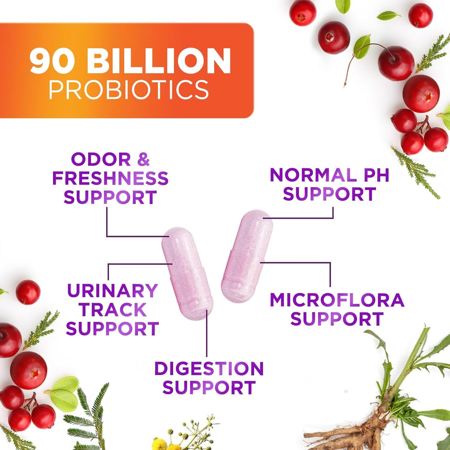 Women's Daily Probiotic Supplement - 90 Billion CFU Vaginal Probiotics with Prebiotics, 16 Strains, Cranberry Extract - Digestive, UT, & Feminine Health Support - 60 Capsules