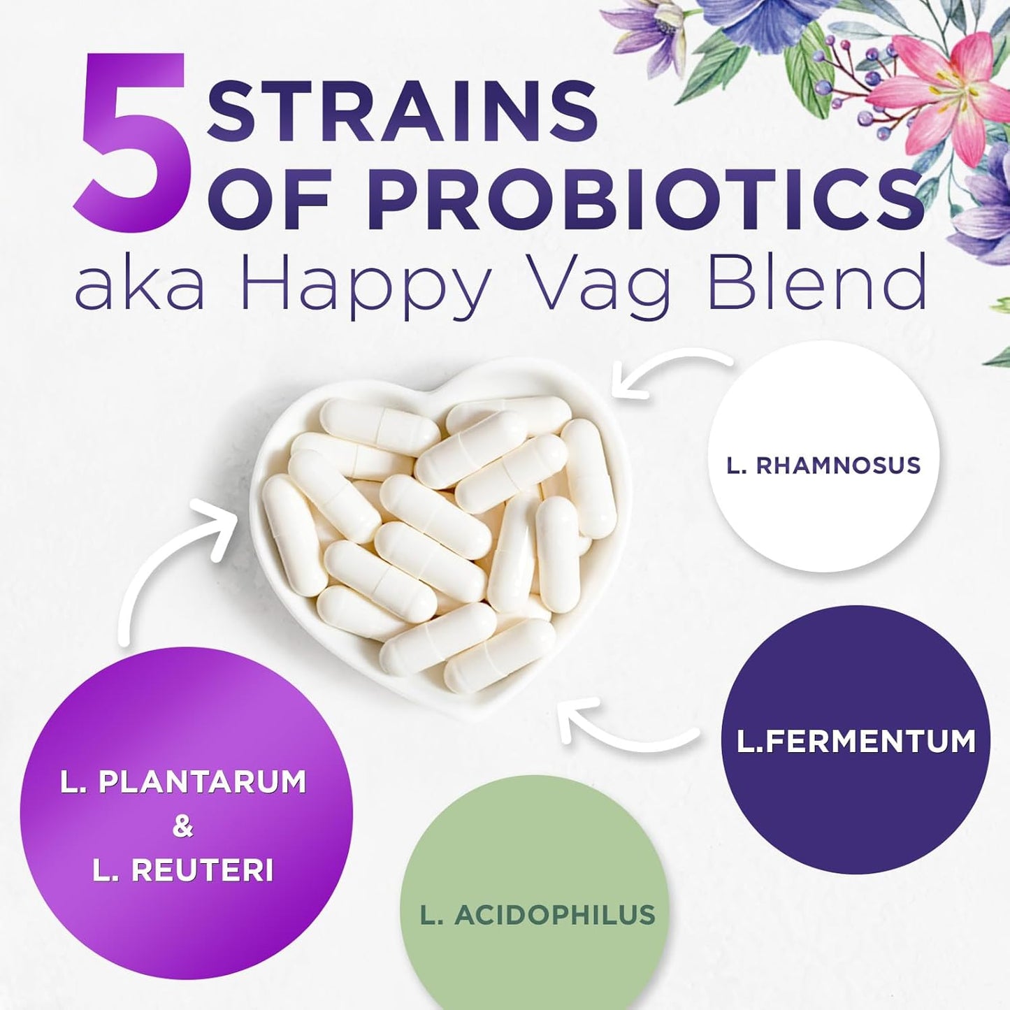 Women's Digestive Health Probiotic Supplement - 50 Billion CFU for Vaginal pH, Gut & Immune Support - 60 Capsules