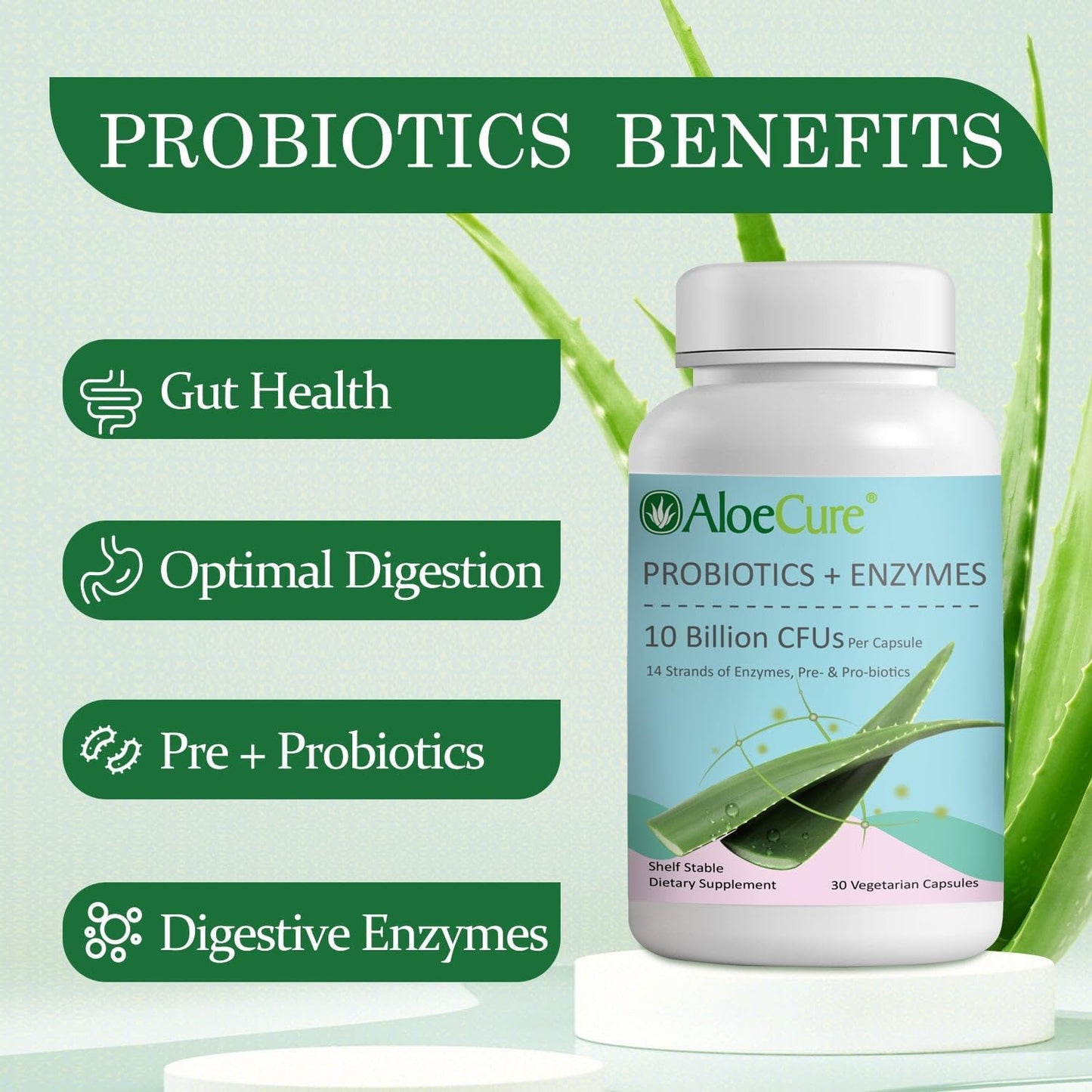 Women's Health Probiotics with 10 Billion CFU, Enzymes, Prebiotics, & Aloe Vera - Full Spectrum Gut Support for Men and Women - 60ct