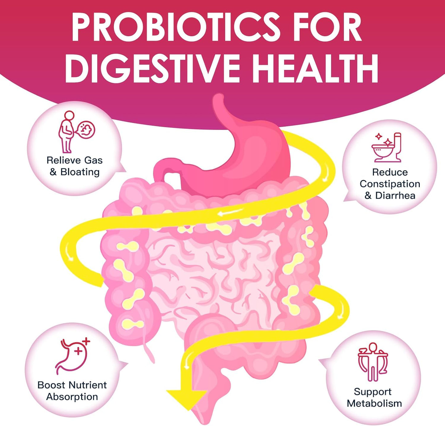 Women's Probiotic Blend with 31 Strains, 120 Billion CFU, Digestive Enzymes, Prebiotics, D Mannose, Cranberry - Supports Digestive & Vaginal Health, Urinary Tract - 90 Capsules