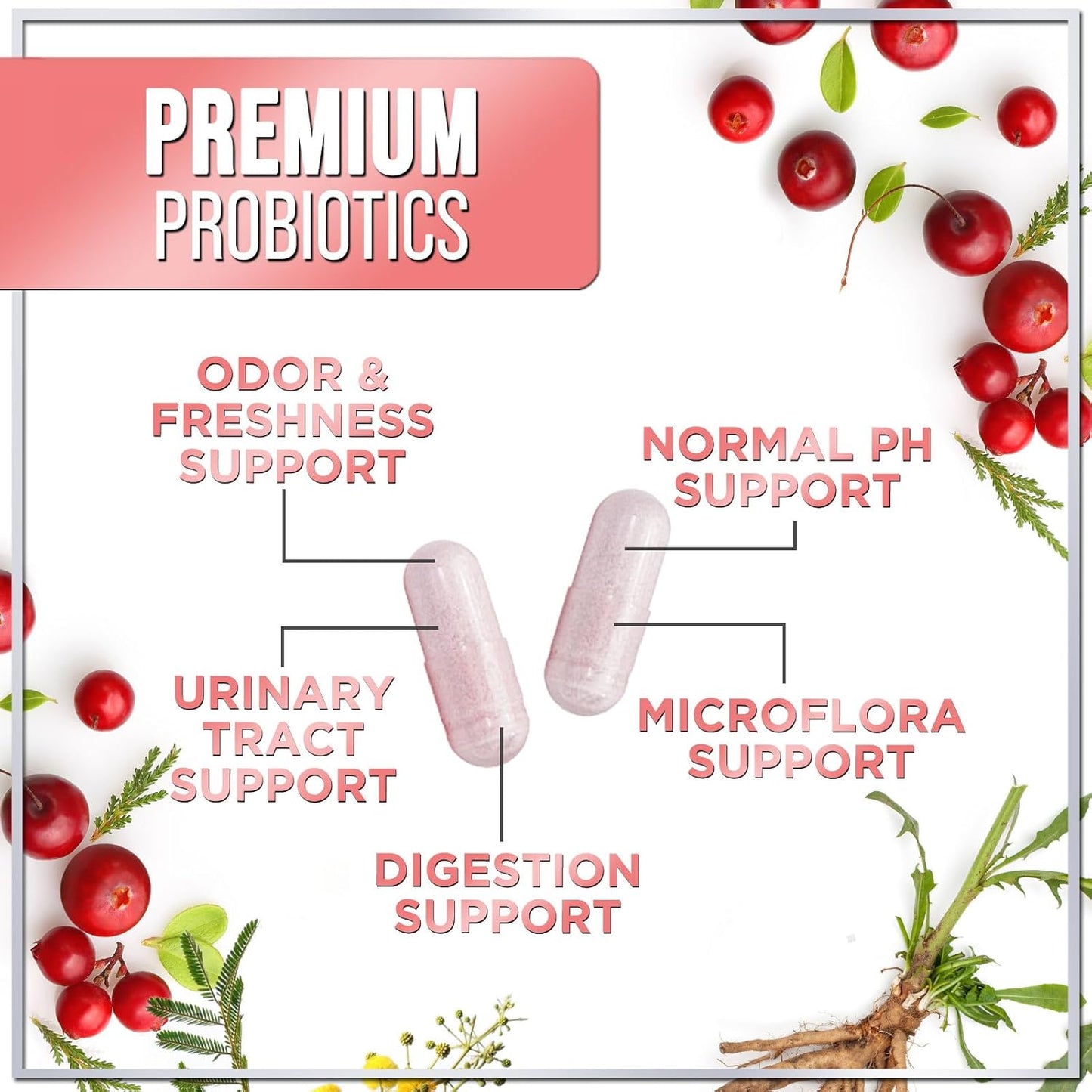 Women's Probiotic Supplement - 90 Billion CFU, 16 Strains with Cranberry & Prebiotics - Feminine PH Balance, Vaginal Health, Immune Support - 60 Capsules