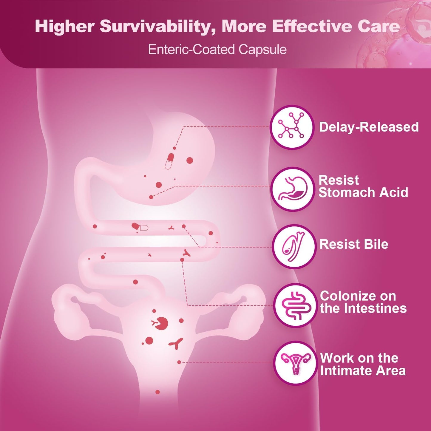 Women's Probiotic Supplement for Digestive Health and Immune Support - NATURE TARGET