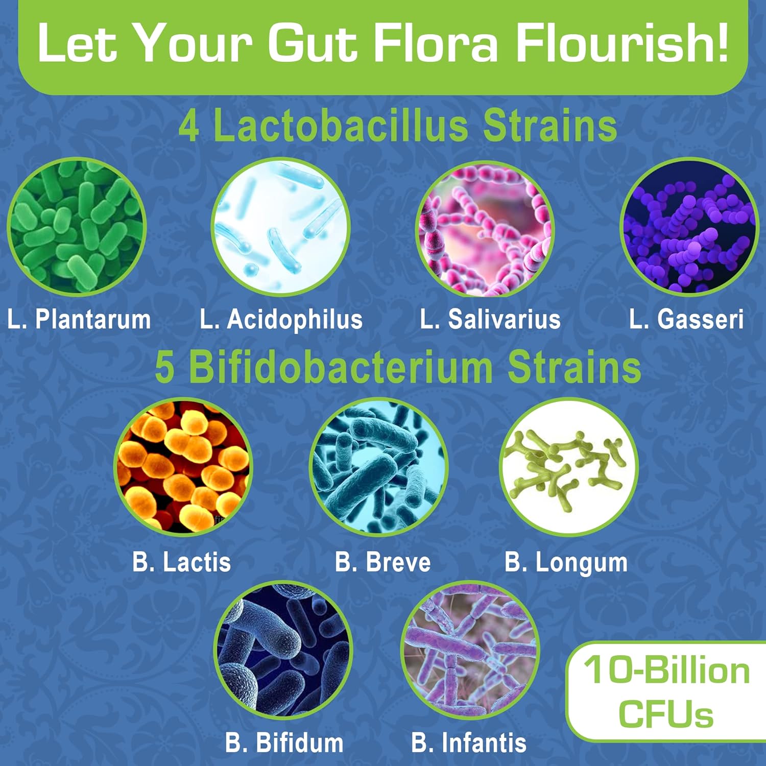 Women's Probiotic Supplement with 9 Live Strains, Lactobacillus acidophilus, Gut Health Support, Weight Management - 60 Capsules