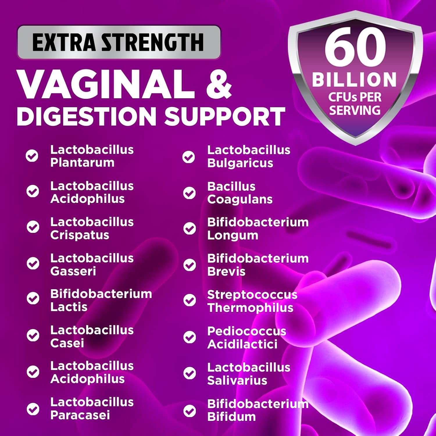 Women's Probiotic with 60 Billion CFU, 16 Strains, Prebiotics, Cranberry - 60 Capsules for Digestive & Vaginal Health