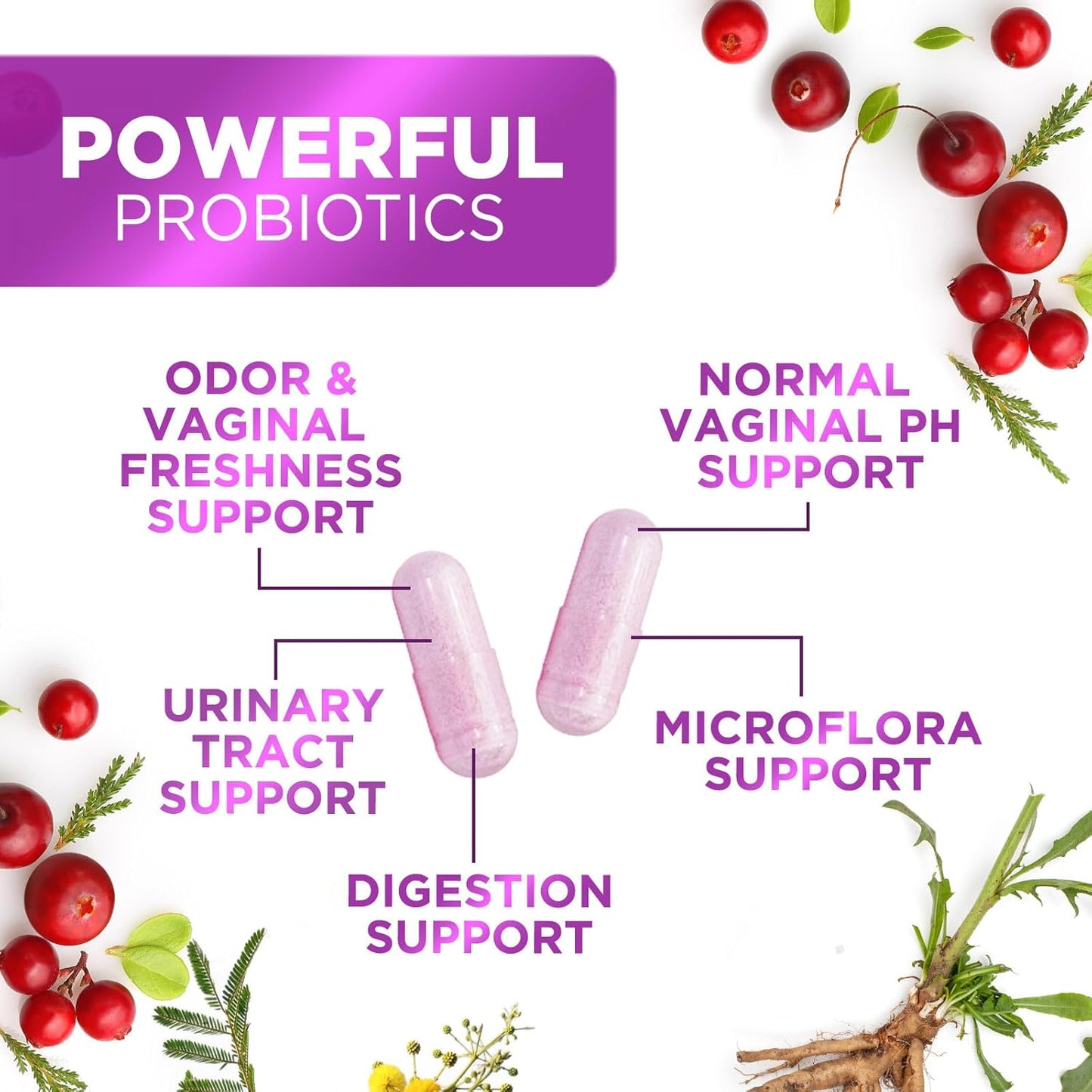 Women's Probiotic with 60 Billion CFU, 16 Strains, Prebiotics, Cranberry - 60 Capsules for Digestive & Vaginal Health