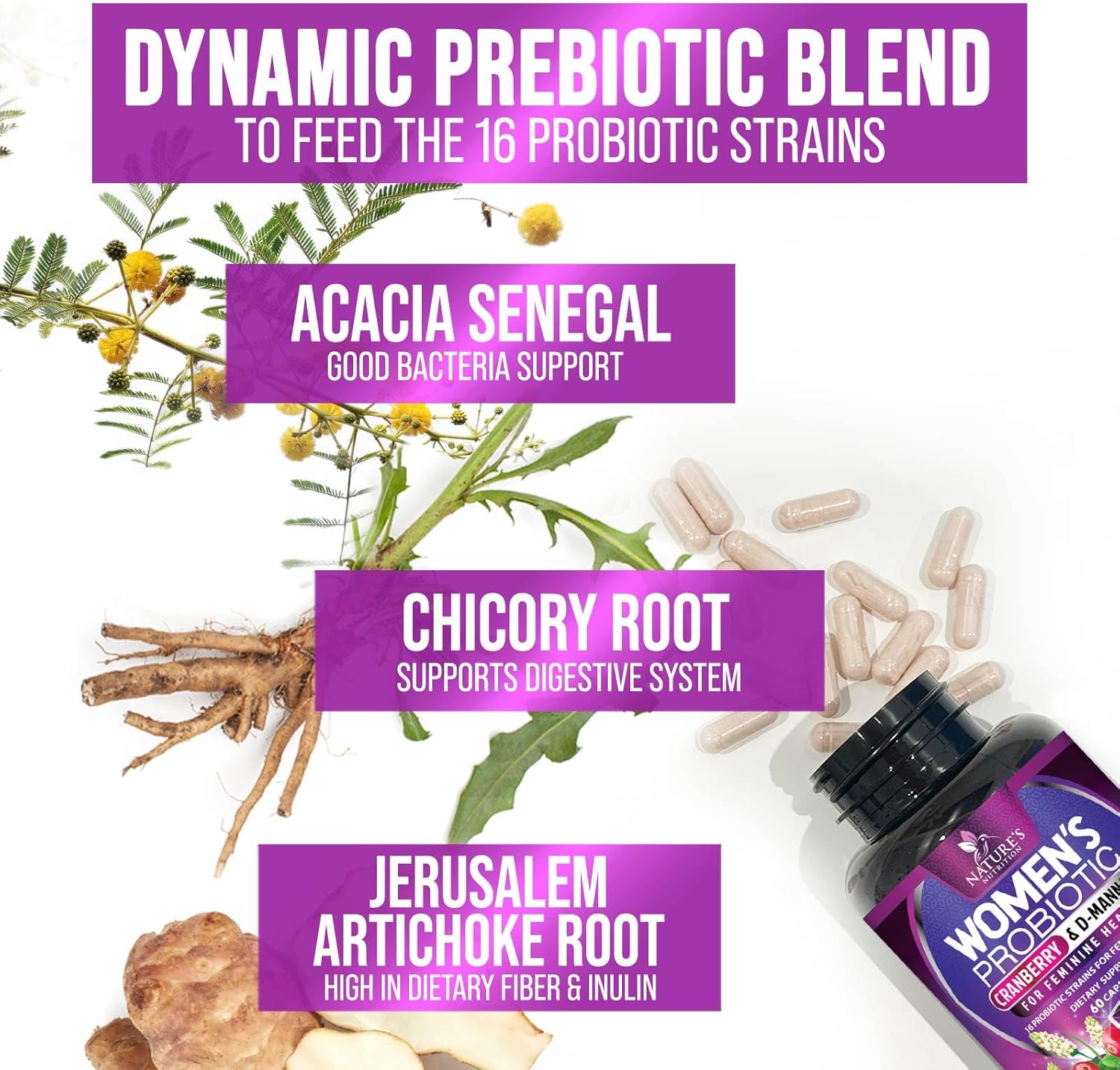 Women's Probiotic with 60 Billion CFU, 16 Strains, Prebiotics, Cranberry - 60 Capsules for Digestive & Vaginal Health