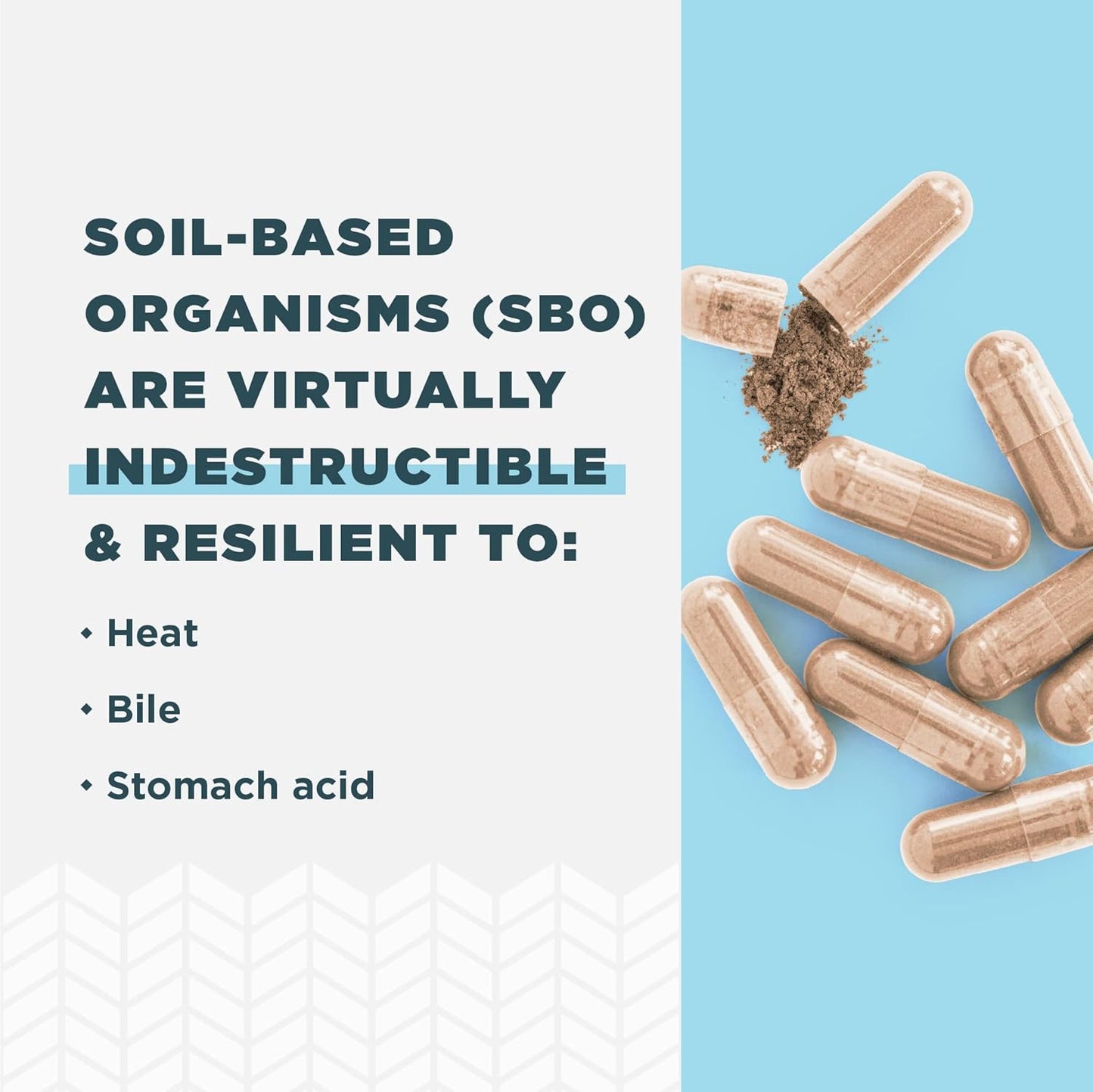 Women's Probiotic with Cranberry and Apple Cider Vinegar, 30ct, 25 Billion CFUs, Daily Support for Vaginal Health and Yeast Balance