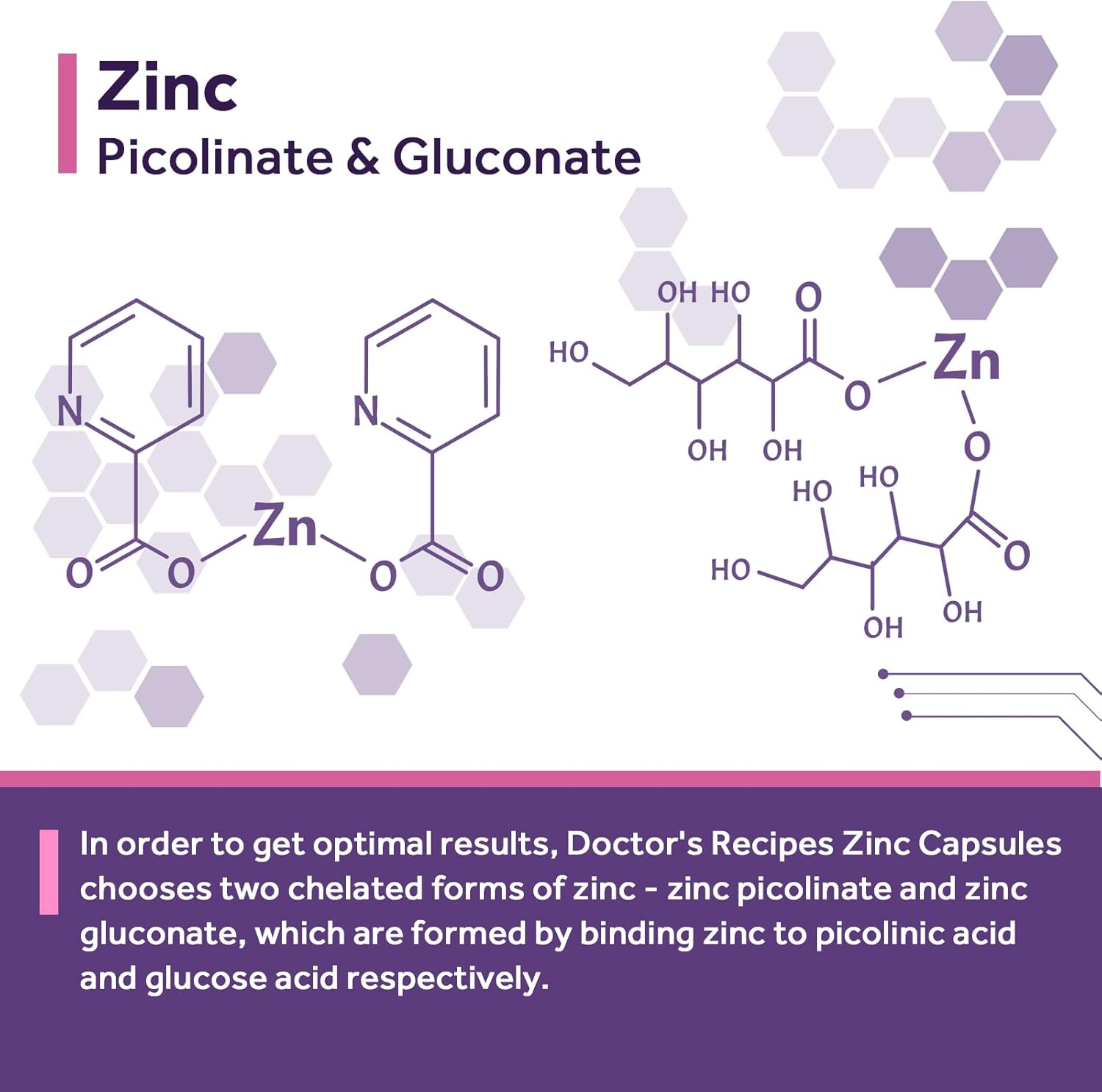 Women's Probiotic & Zinc Bundle for Digestive, Vaginal, & Urinary Health - Immune Defense & Delayed Release - 60 Probiotic Capsules & 120 Zinc Capsules