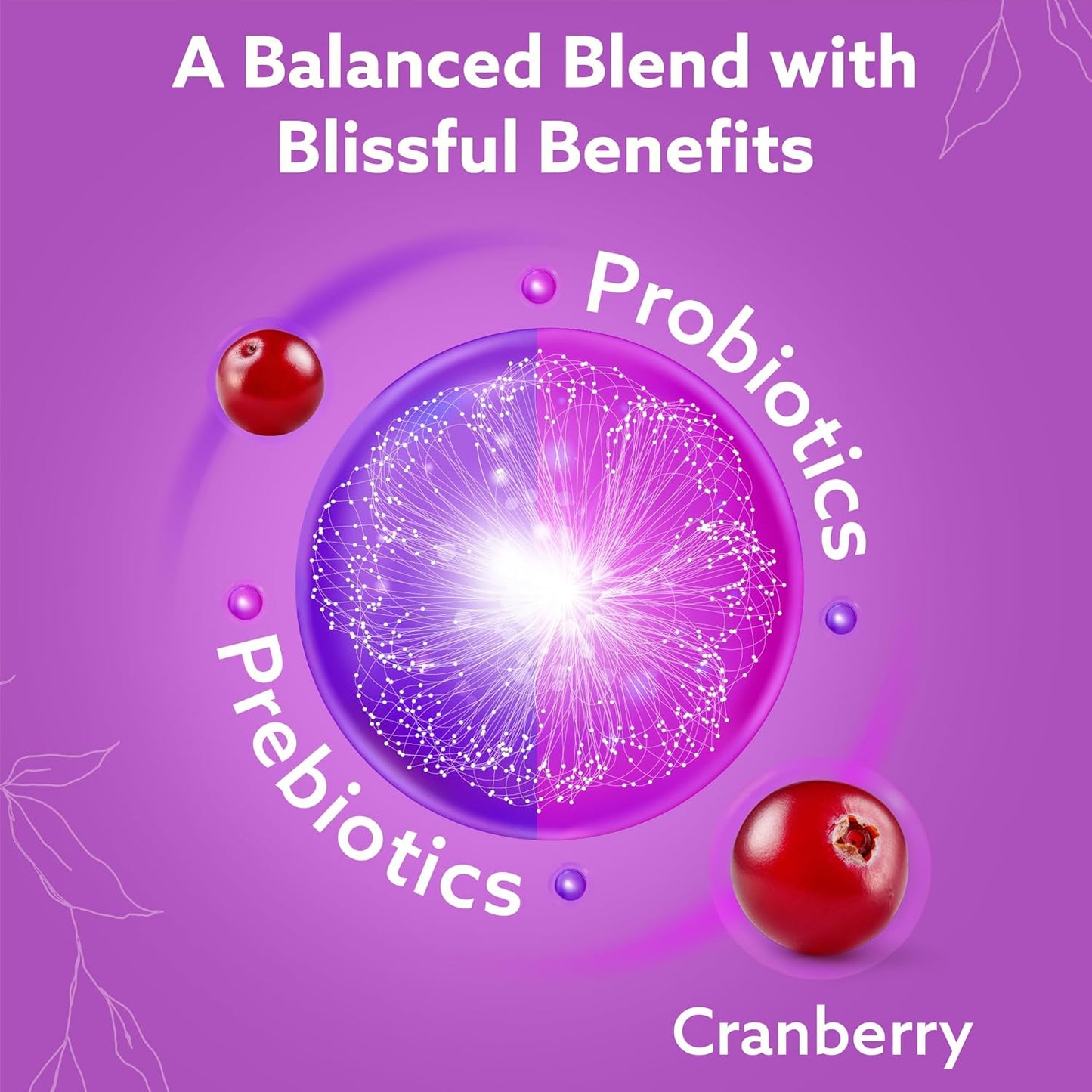 Women's Probiotics with Prebiotics and Cranberry for Vaginal and Gut Health - 60 Capsules for pH Balance, UTI Prevention, and Wellness