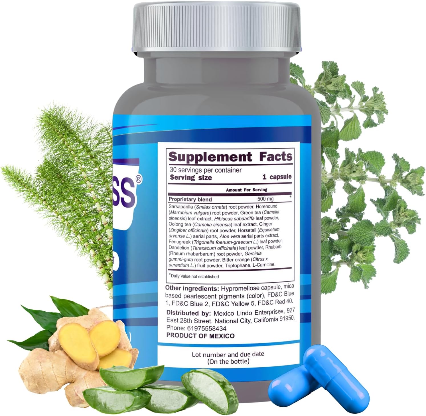YERBERO Bypass BPRI Blue Capsules - Enhanced with Aloe Vera, Ginger, Sarsaparilla Root, Green Tea, Dandelion, Horsetail - 30 Capsules, 500mg.