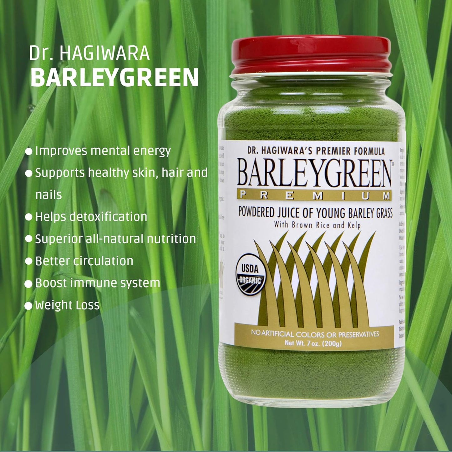 YH International Dr. Hagiwara's Premium Barley Green Powder with Brown Rice and Kelp - Organic Superfood Supplement