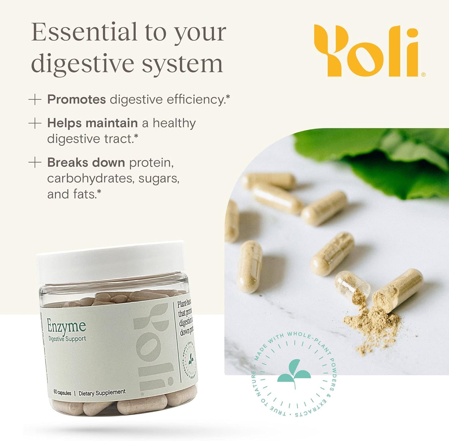 Yoli® Enzyme Digestive Supplement for Gut Health - 60 Count Digestive Enzymes for Women and Men