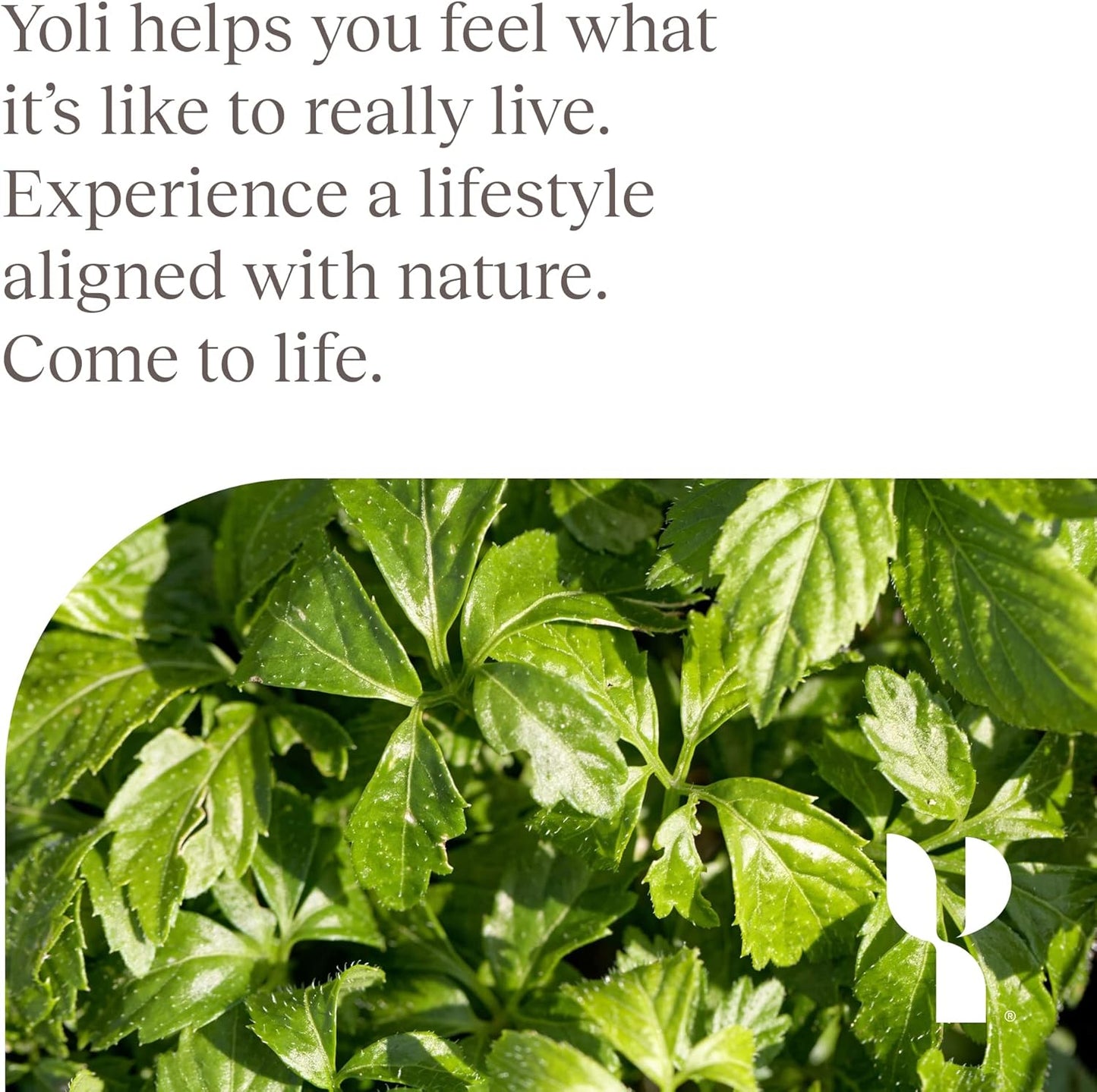 Yoli® Multi Collagen Protein Powder with Hyaluronic Acid - Collagen Supplements for Women and Men - Types I, II, III, V, and X