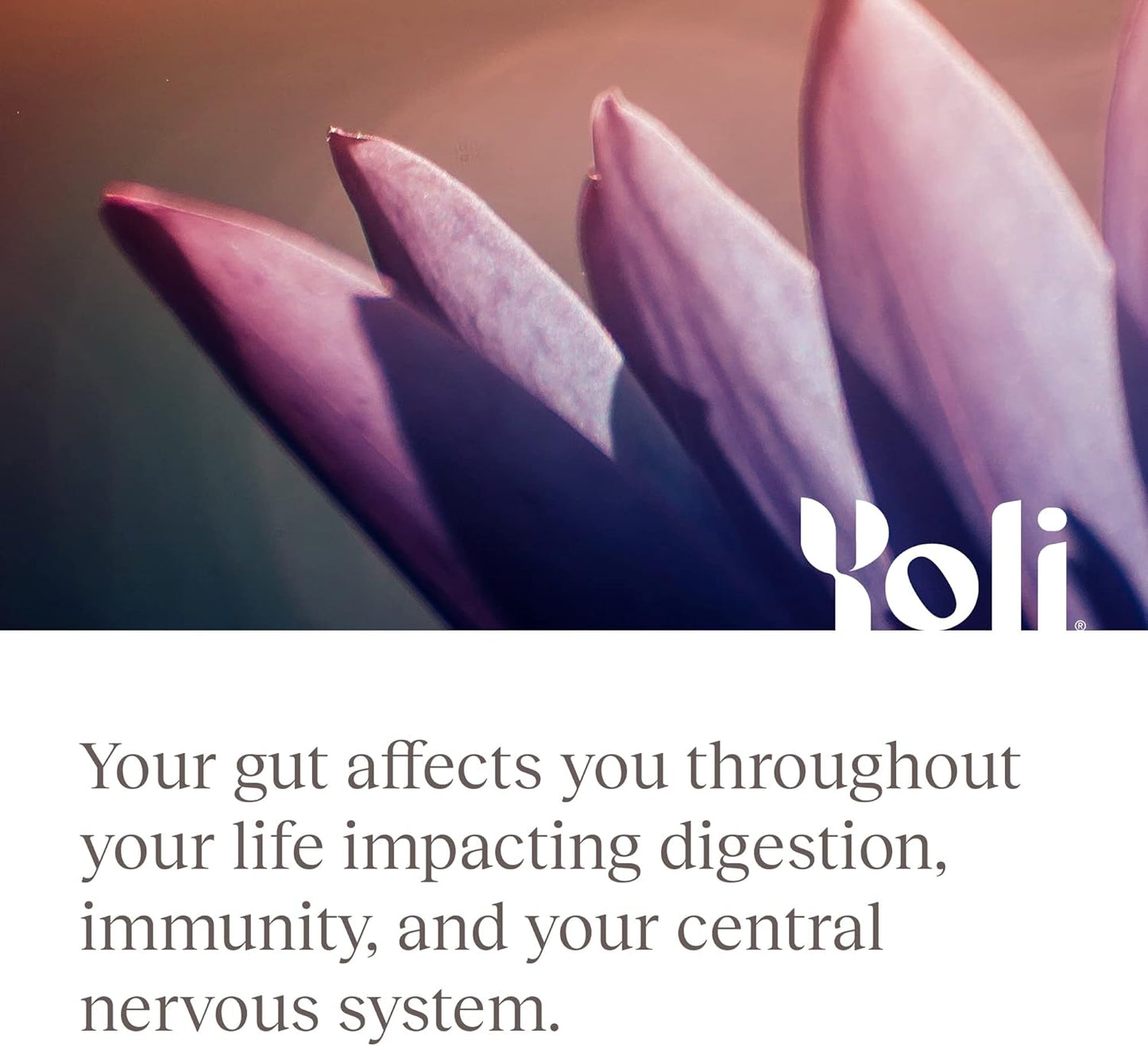 Yoli® Pure Probiotics Capsules - Digestive Health Supplements for Men and Women - 1 Billion CFUs