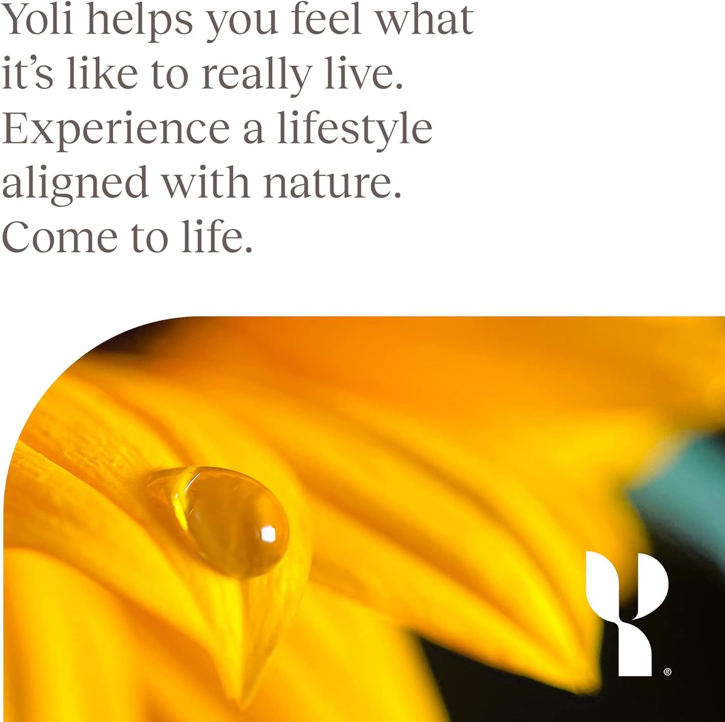 Yoli Resolve PhytoFiber Capsules with Apple Cider Vinegar Powder and Glucomannan for Digestive Health