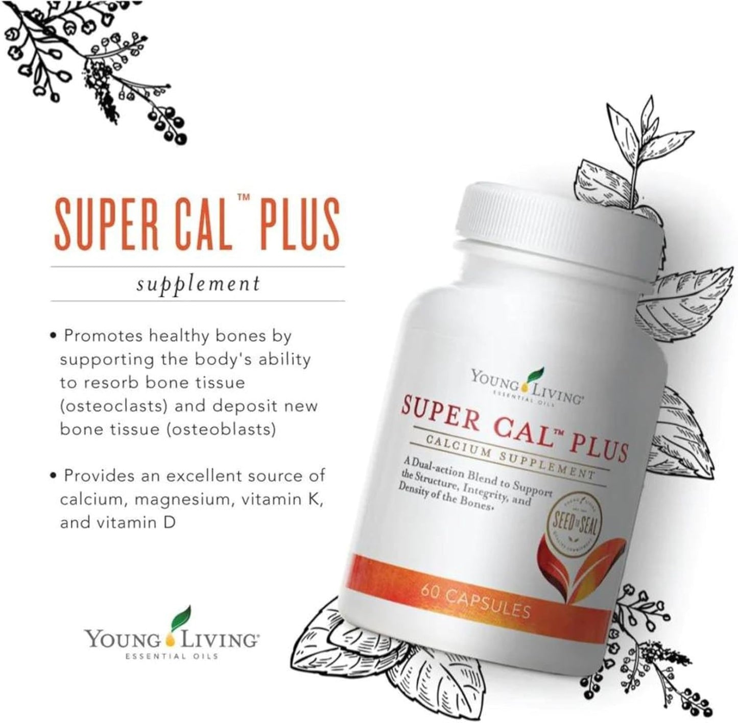 Young Living Super Cal Plus Capsules | Calcium Mineral Bone Health Supplement | Magnesium, Vitamin D & K Blend | Essential Nutrients for Strong Bones