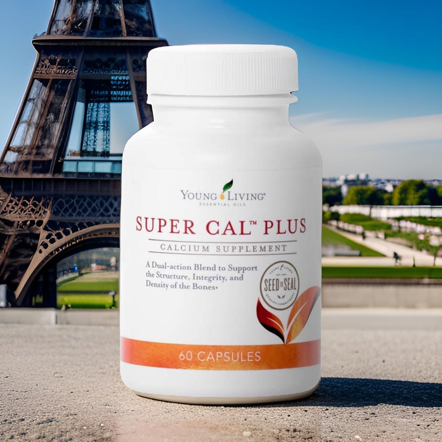 Young Living Super Cal Plus Capsules | Calcium Mineral Bone Health Supplement | Magnesium, Vitamin D & K Blend | Essential Nutrients for Strong Bones